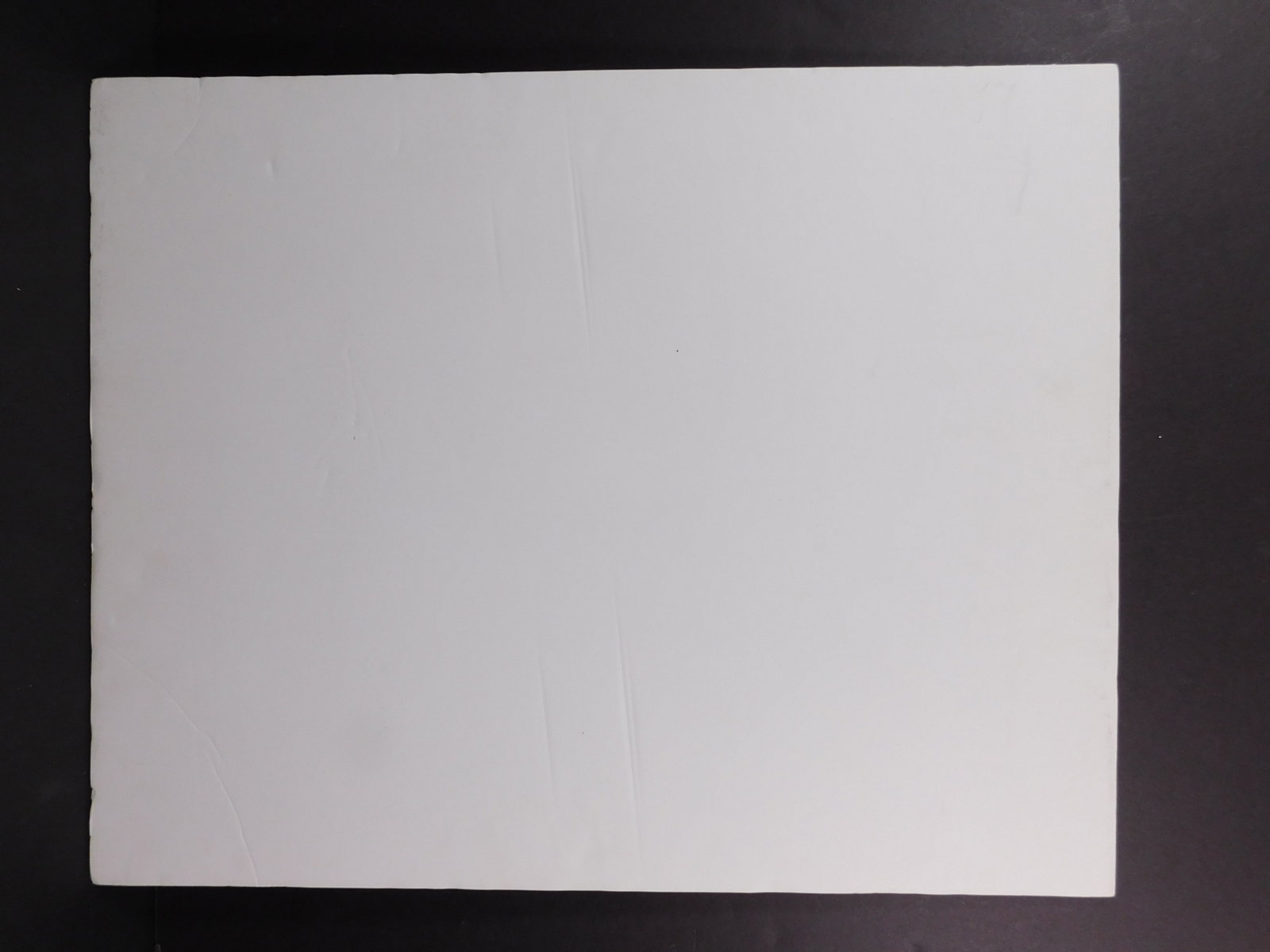 After Pablo Picasso: Pates Blanches - 7