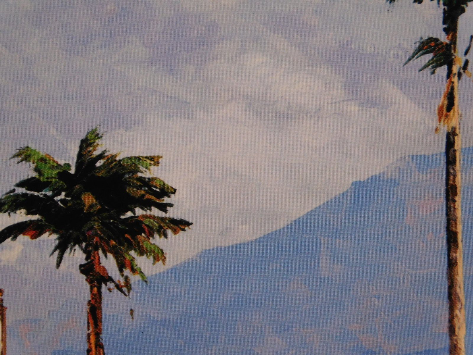 Alex Pauker: Reflections - 4