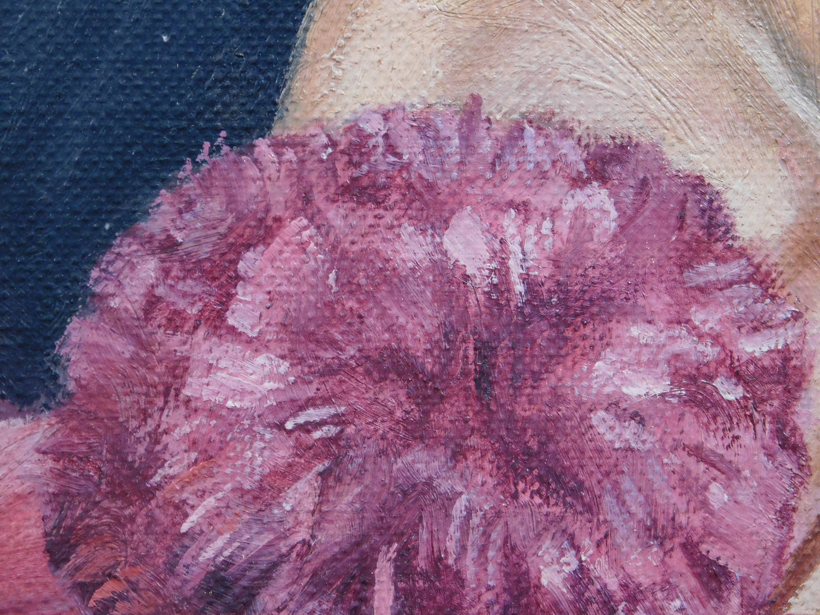 B. Justus: Cardinal Portrait - 4