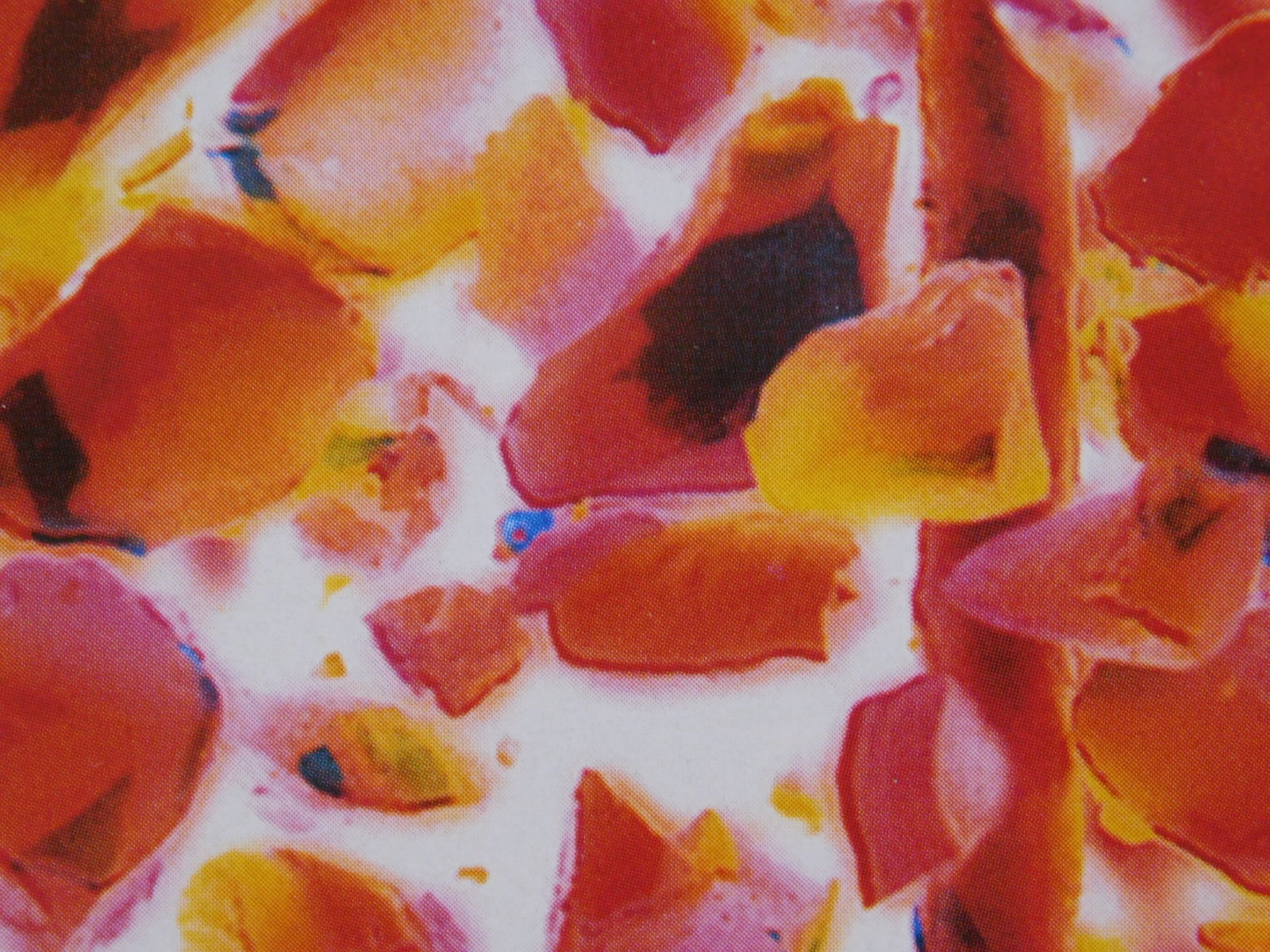 Nick Knight : Lollipop - 8