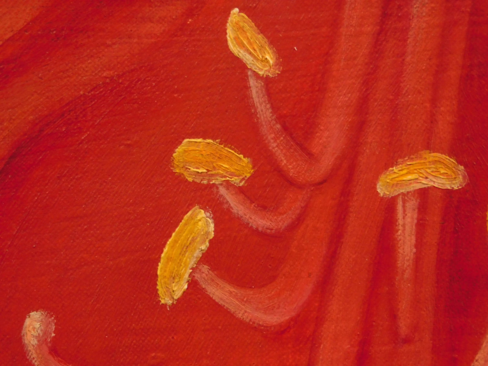 Georgia O'Keeffe, Attributed: Red Amaryllis - 10