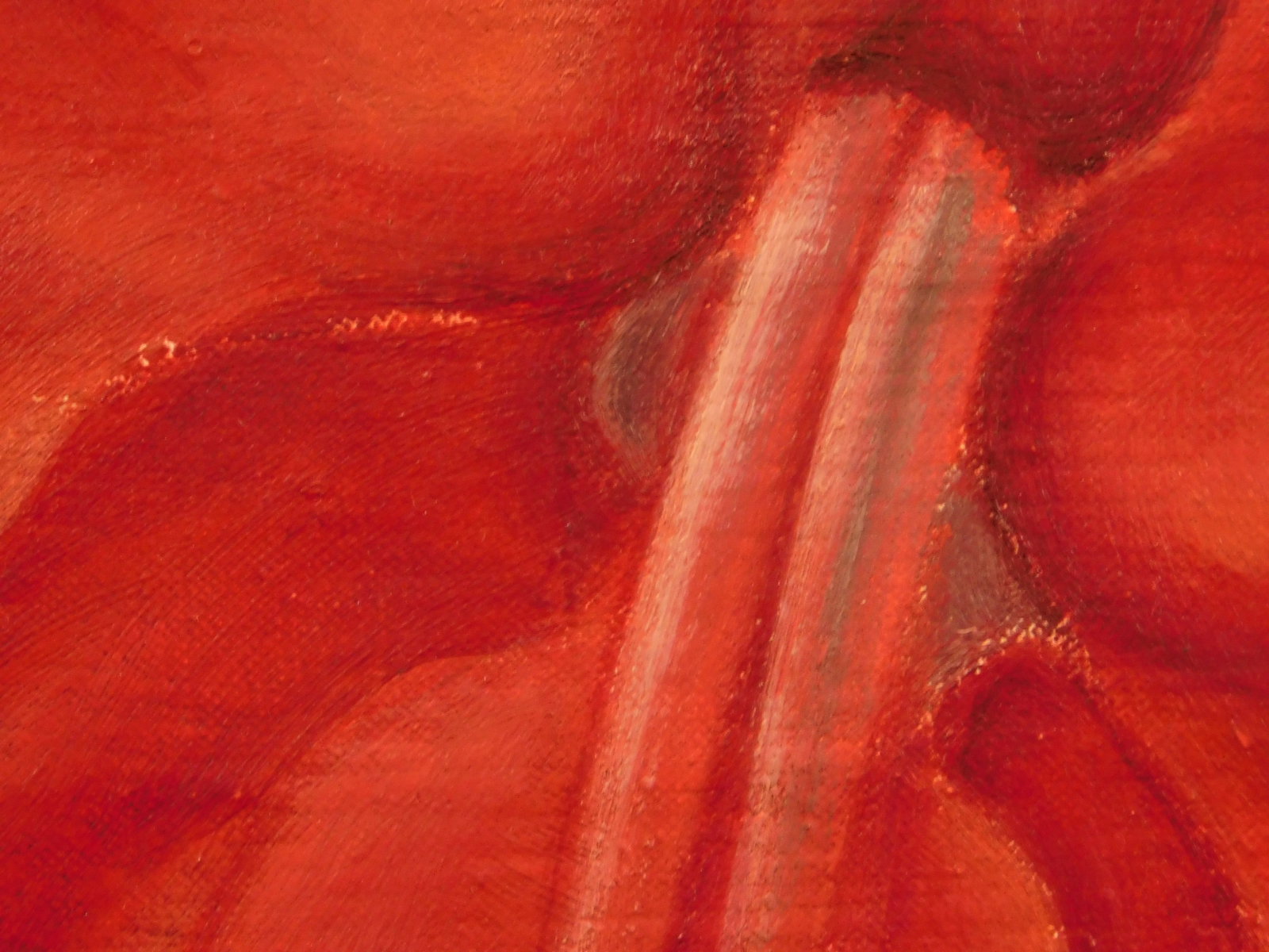 Georgia O'Keeffe, Attributed: Red Amaryllis - 11