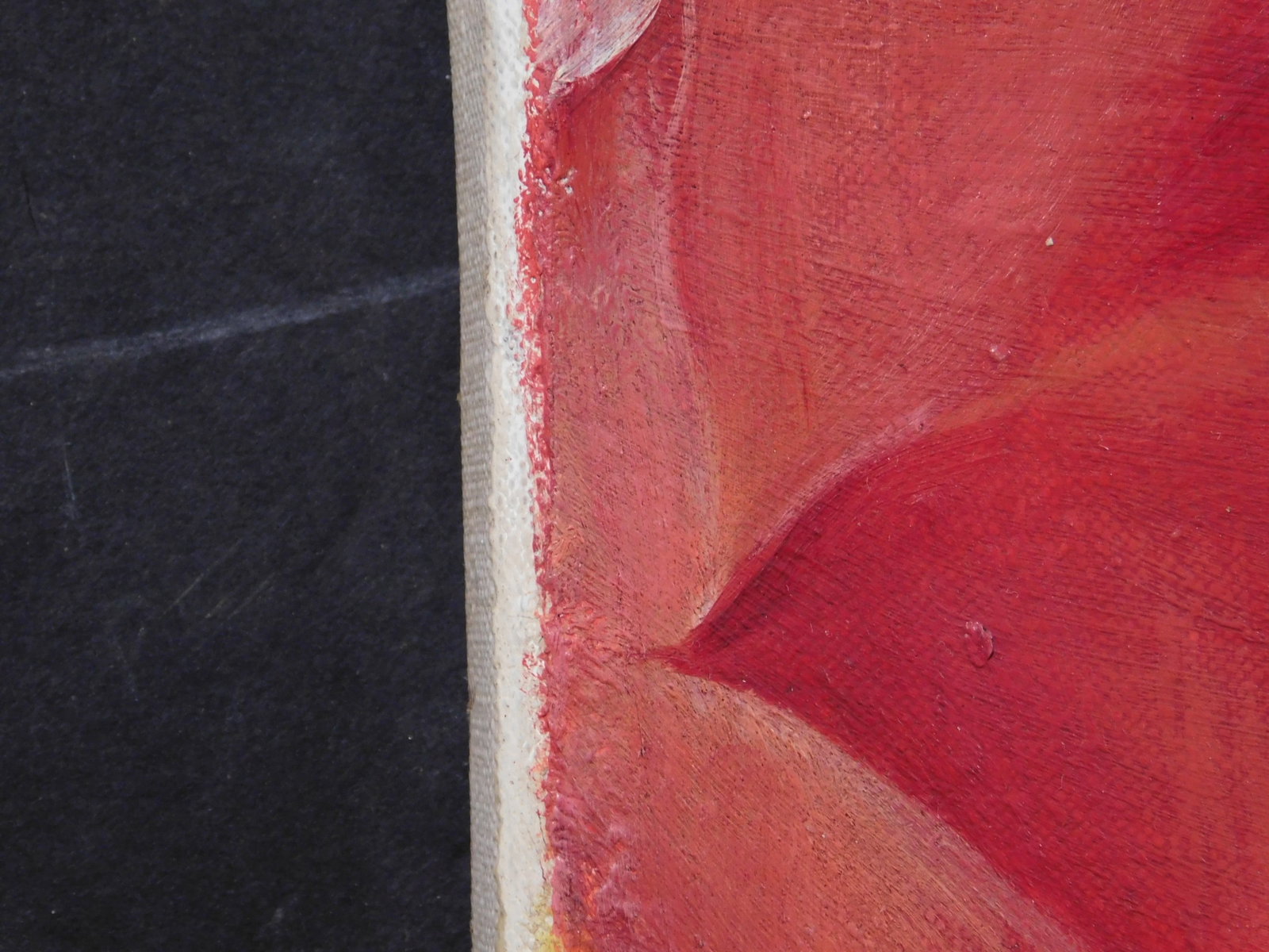 Georgia O'Keeffe, Attributed: Red Amaryllis - 16