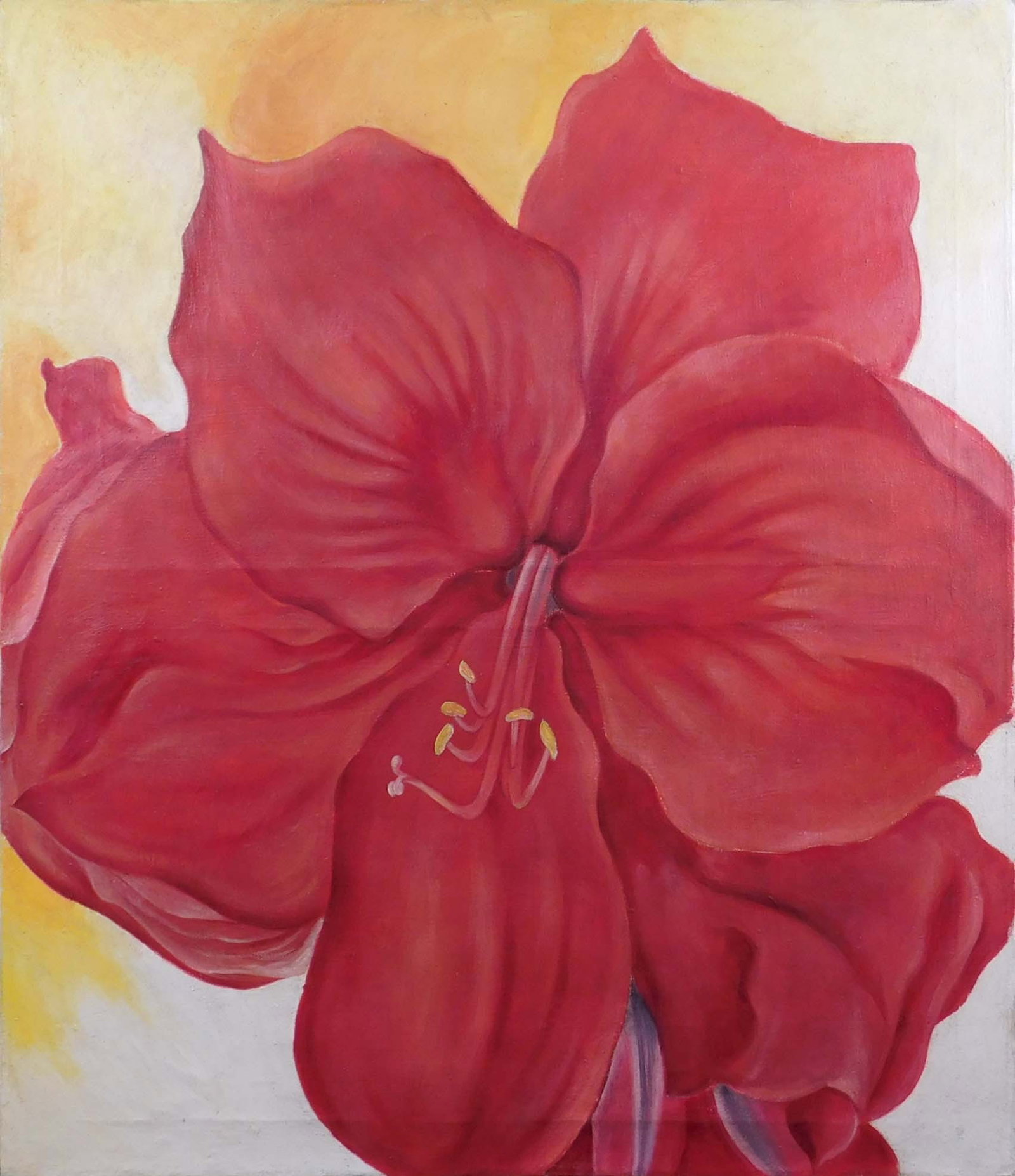 Georgia O'Keeffe, Attributed: Red Amaryllis: Georgia O'Keeffe (American, 1887-1986), Attributed: Red Amaryllis, 1937. Oil on canvas, unframed. Possible study for a larger work, signed and dated verso. Georgia Totto O'Keeffe was an American