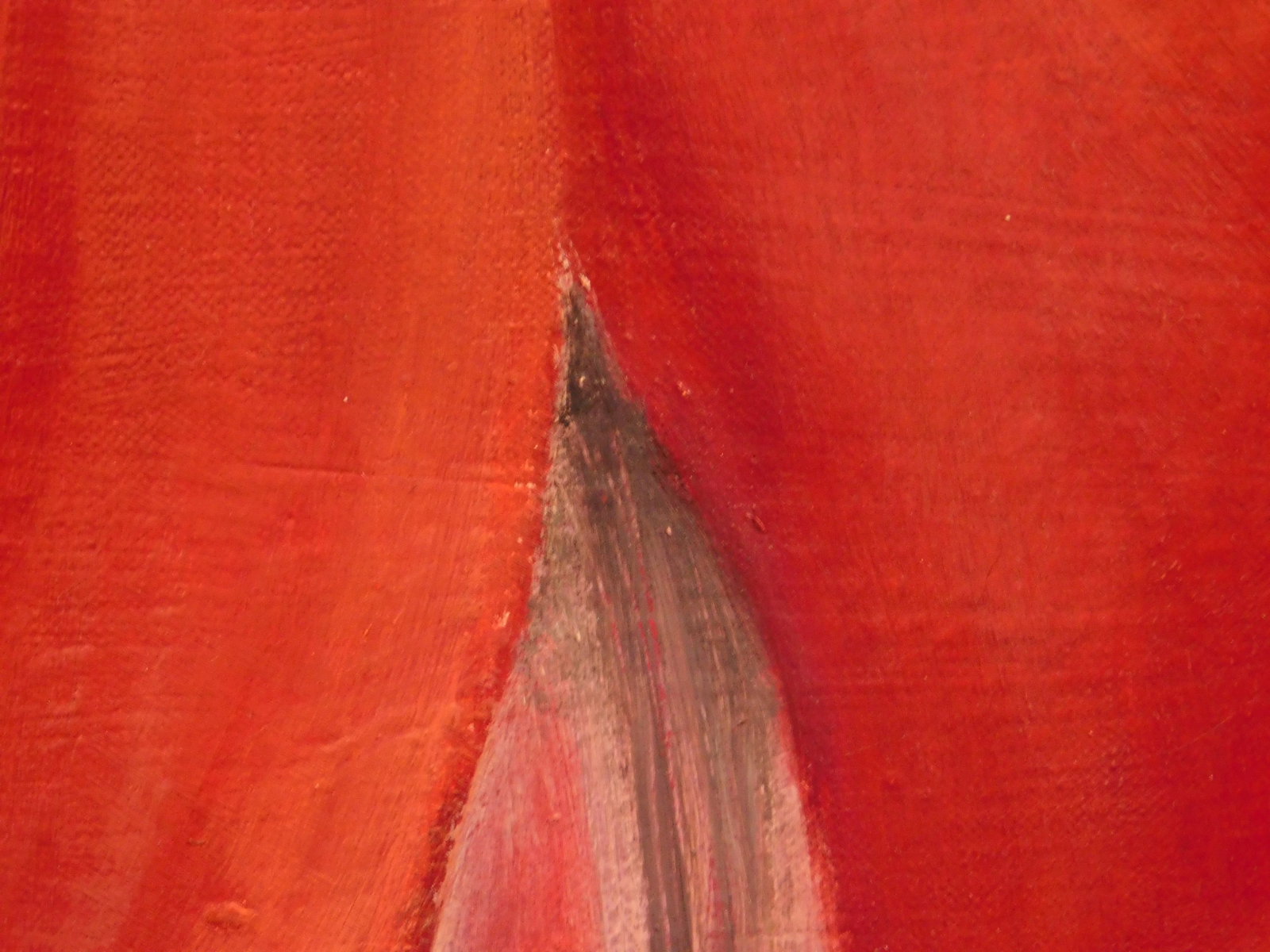Georgia O'Keeffe, Attributed: Red Amaryllis - 9