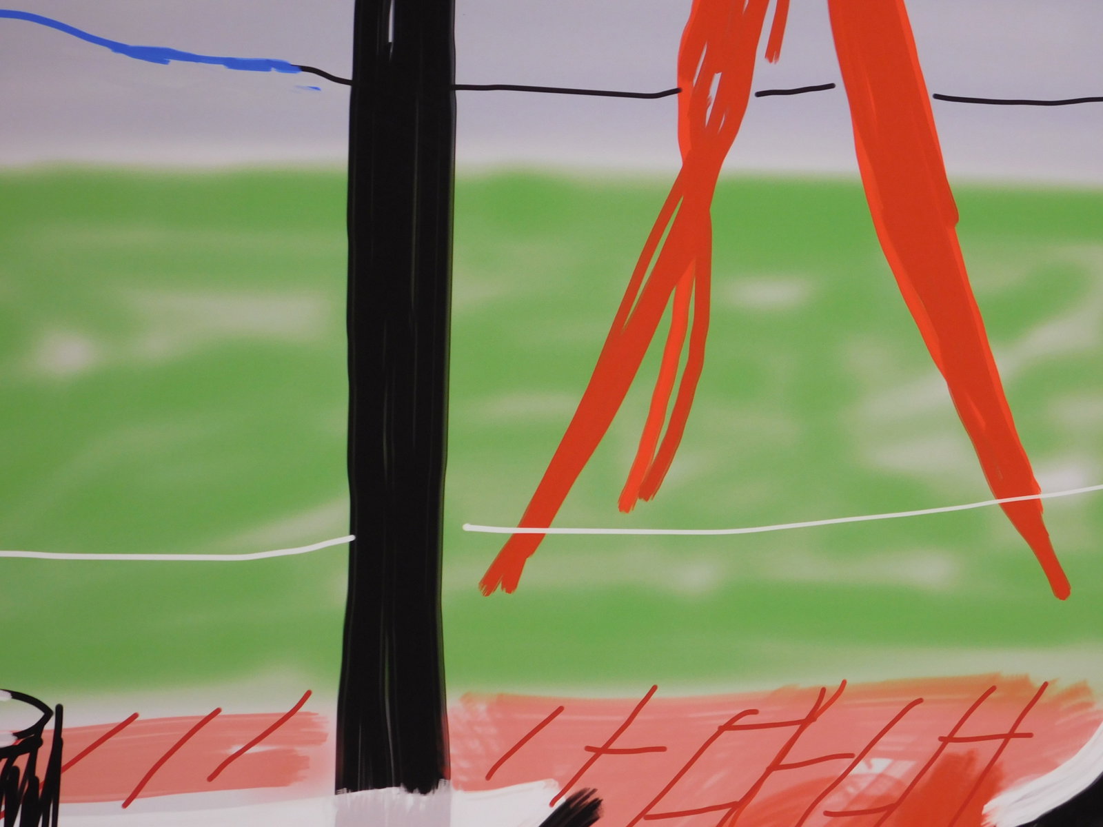 David Hockney: Hand Drawn on iPad - 3