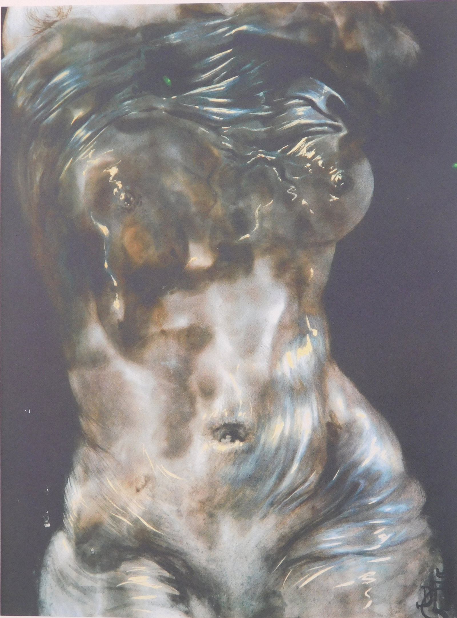 Salvador Dali: Torso (Birth of Venus): Salvador Dali (1904-1989): Torso (Birth of Venus), Limited edition numbered XIX/MM (lower left) and Hand signed in pencil (lower right), with the Crowned DALI publisher blindstamp (lower center).