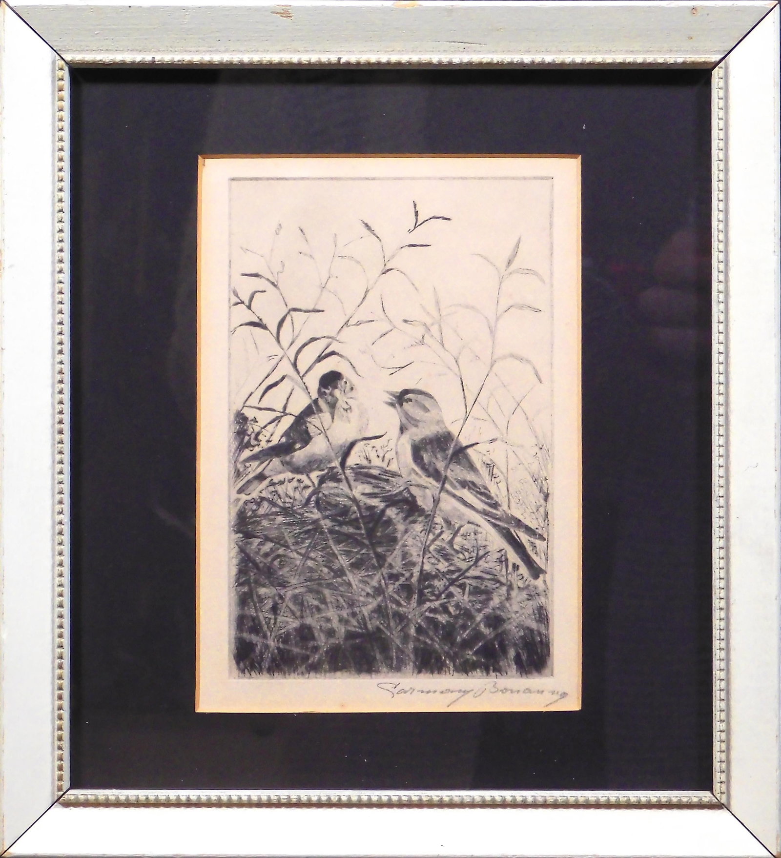 Carmen Bonanno: Nesting Birds (1 of 7)