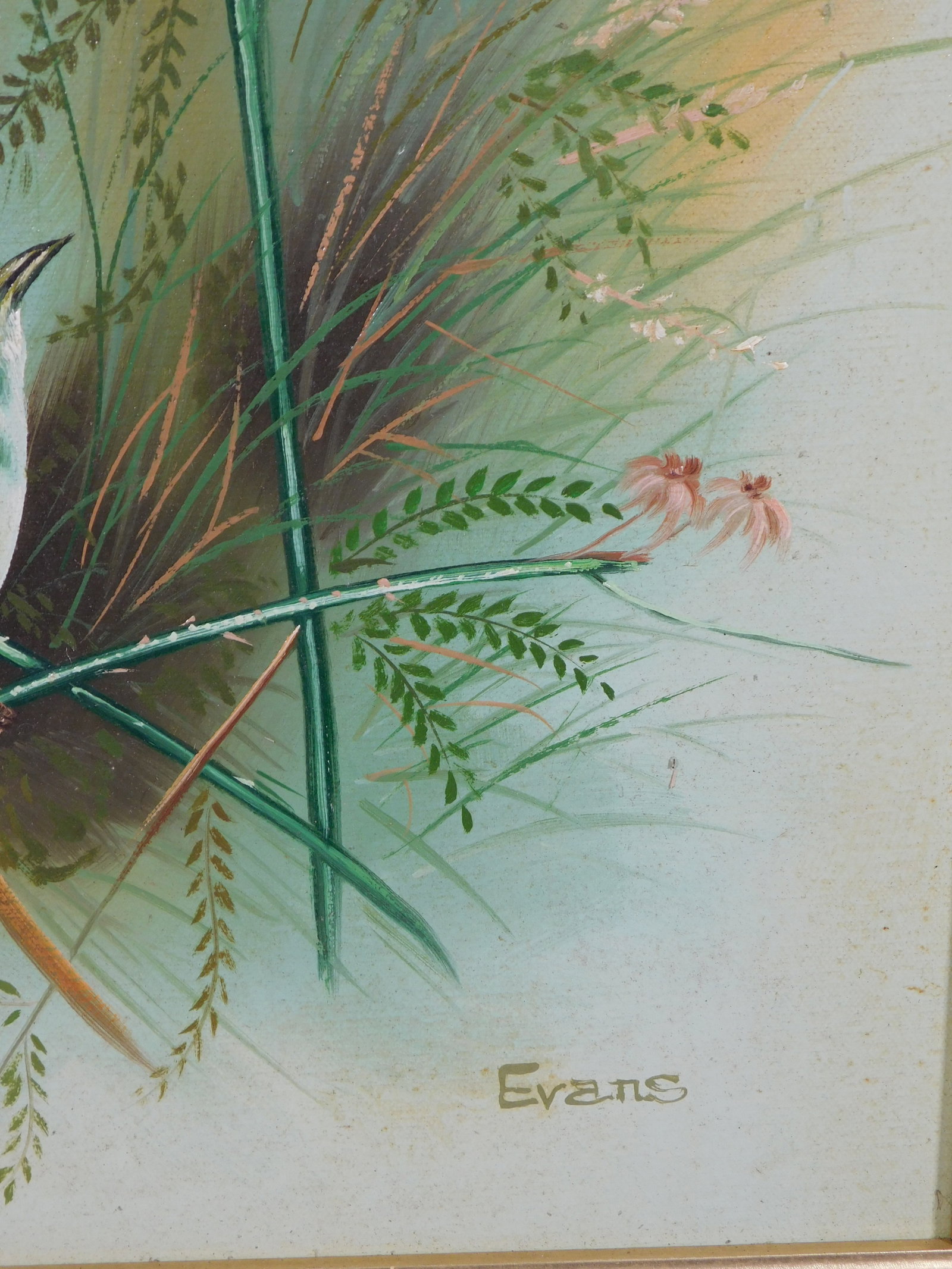 Evans: Spring Wrens - 8