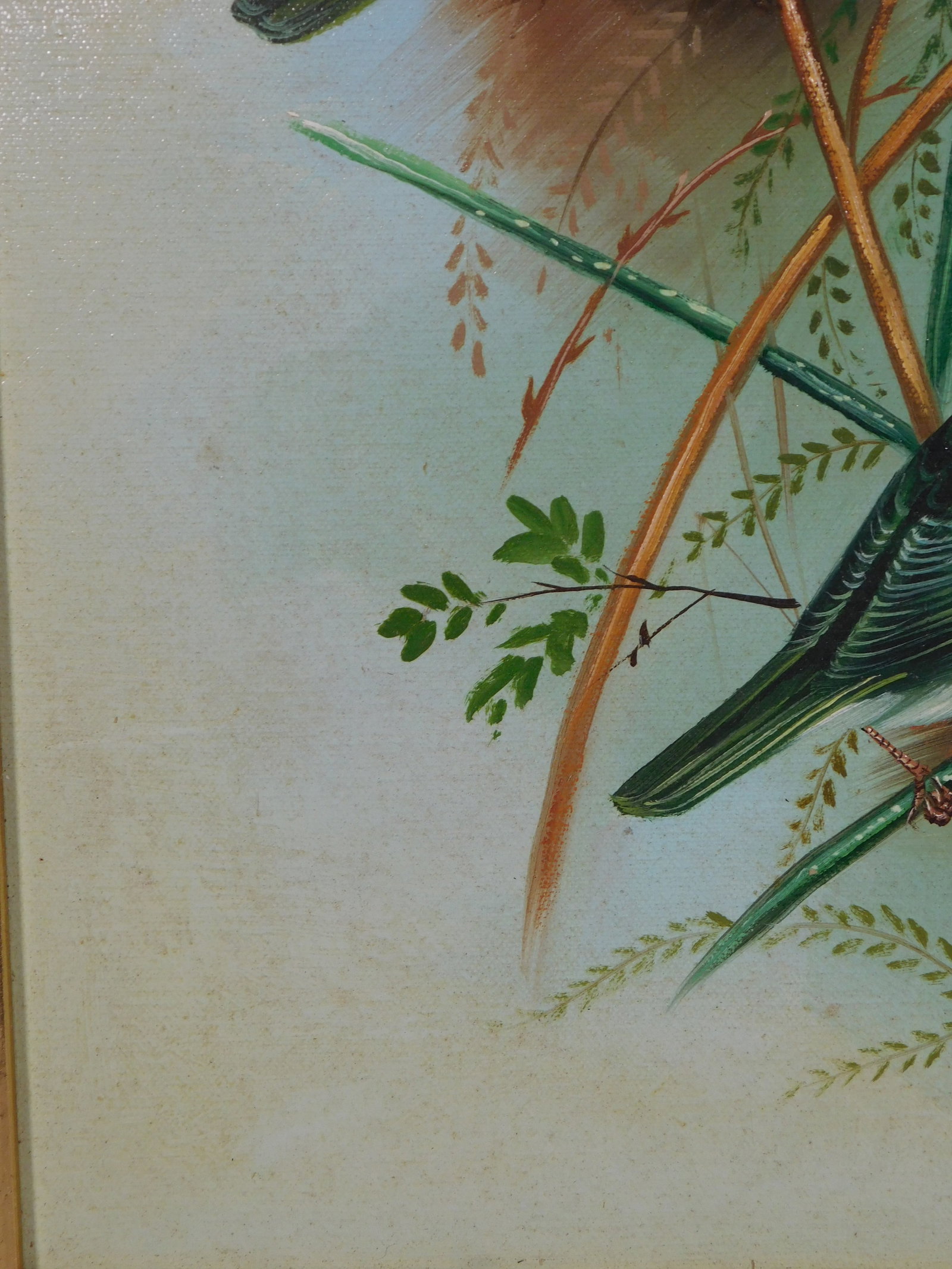Evans: Spring Wrens - 9