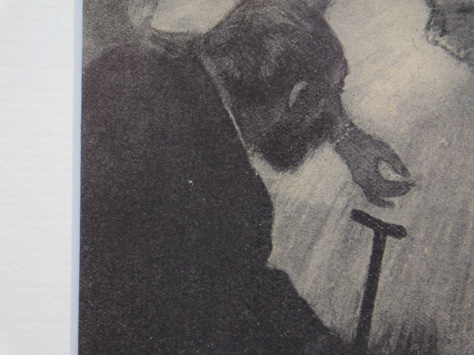 Edgar Degas: Danseuse - 7