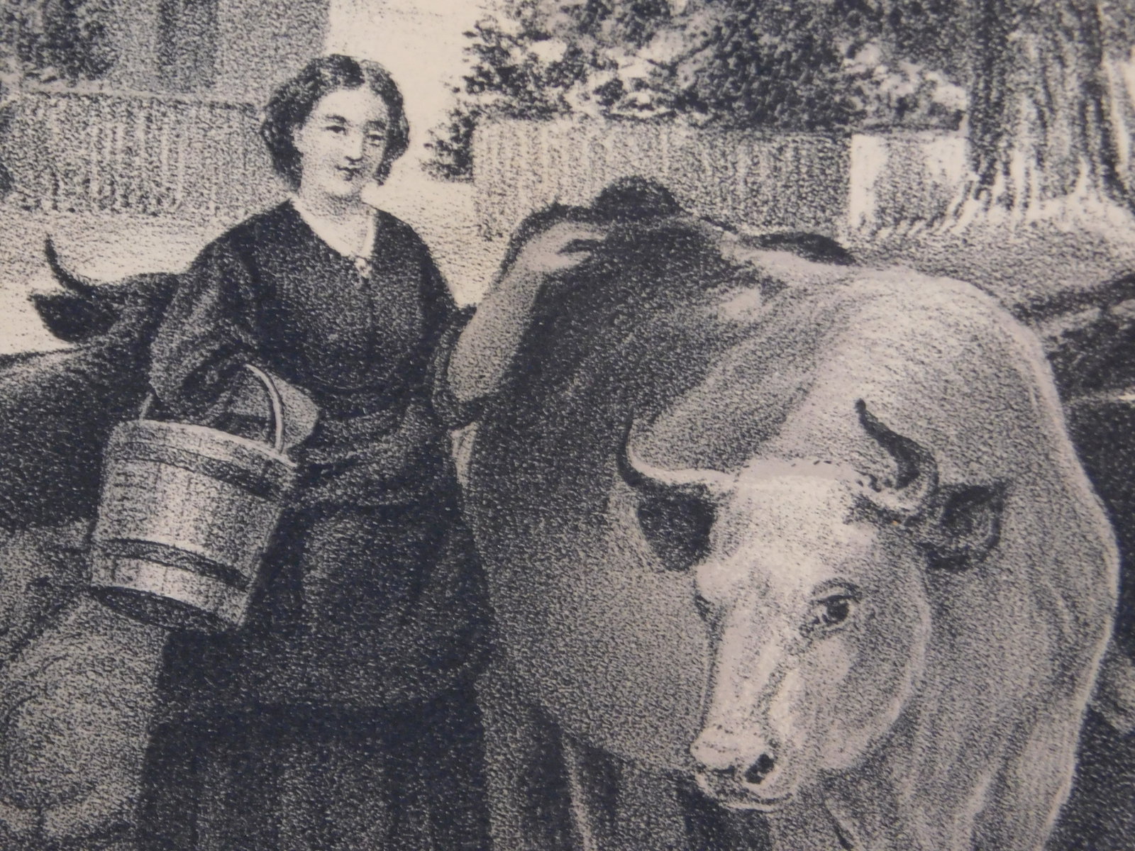 After Joseph John: Farmyard - 4