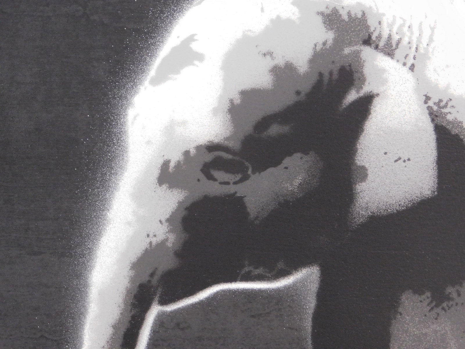 SAGE: Elephant - 3