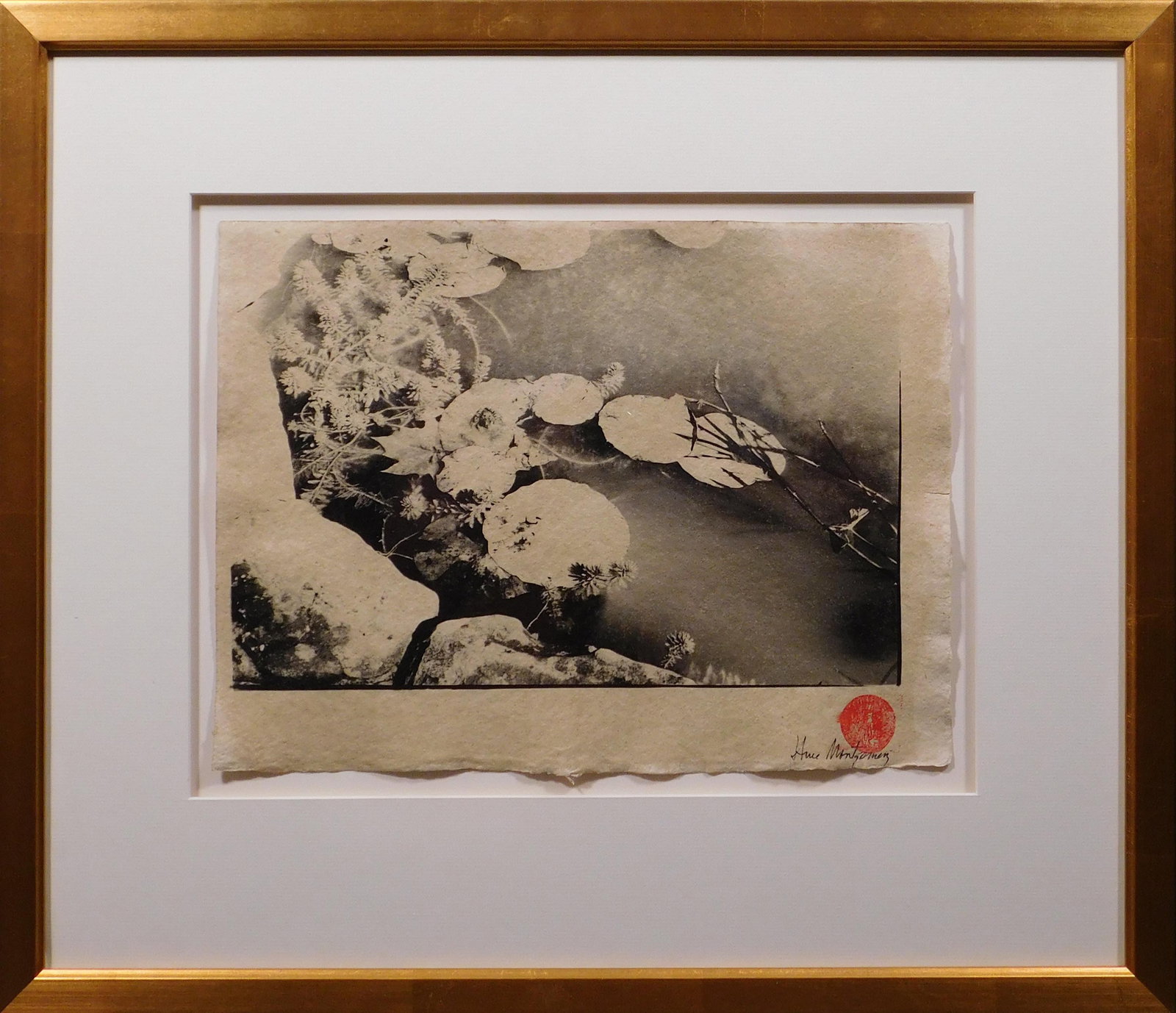 J. Anne Montgomery: Lilly Pads: J. Anne Montgomery (American, 20th Century): Lilly Pads, c. 1995. Silver gelatin photo on handmade paper, signed in ink lower right, marked with artist's seal, professionally mounted and framed. 19.5