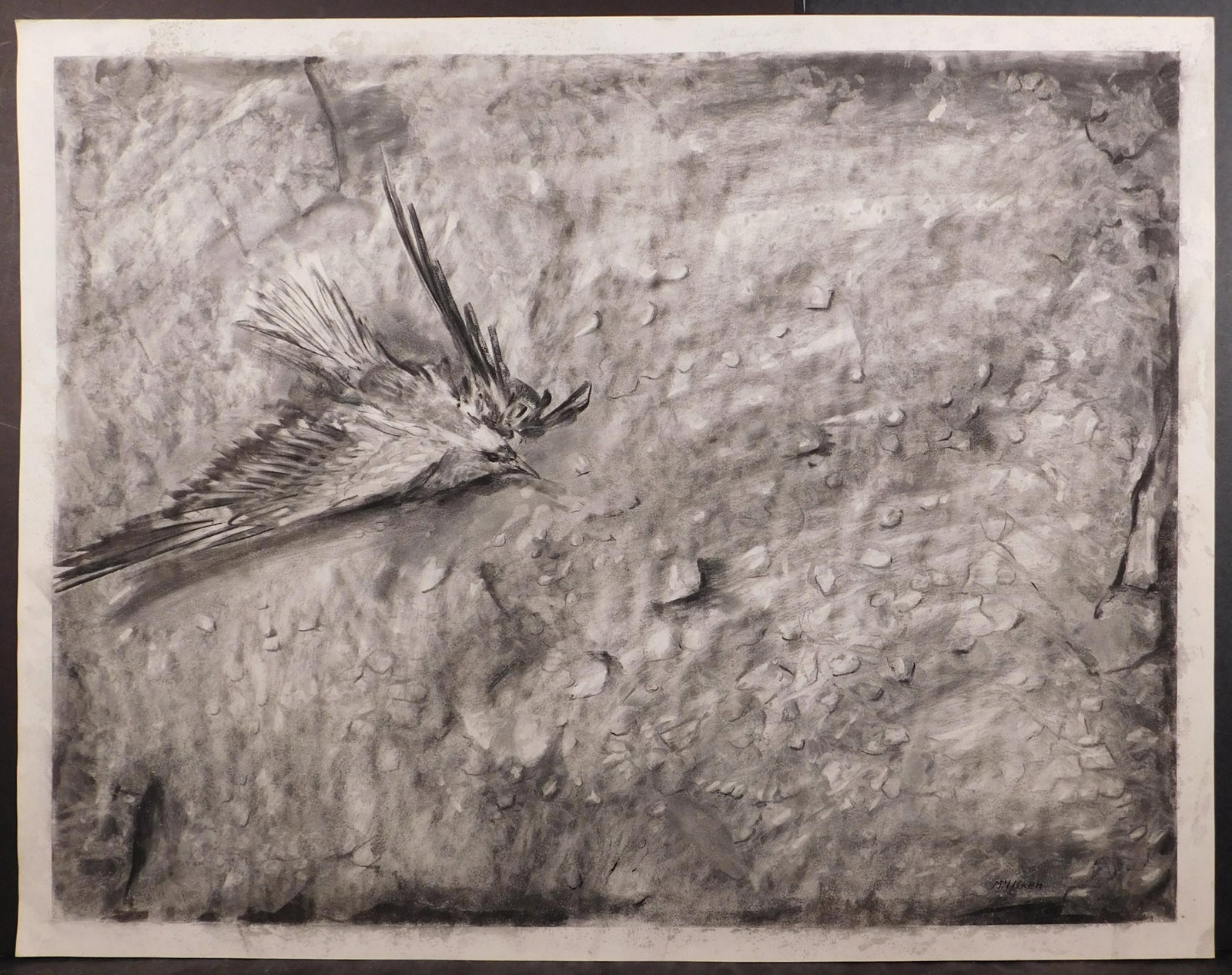 Gibbs Milliken (American, 1935-2007): Wounded Bird: Gibbs Milliken (American, 1935-2007): Wounded Bird, charcoal on heavy paper, signed lower right, signed, dated (1971), and titled verso. Unframed. 23x29 inches paper. Private Collection, New England V