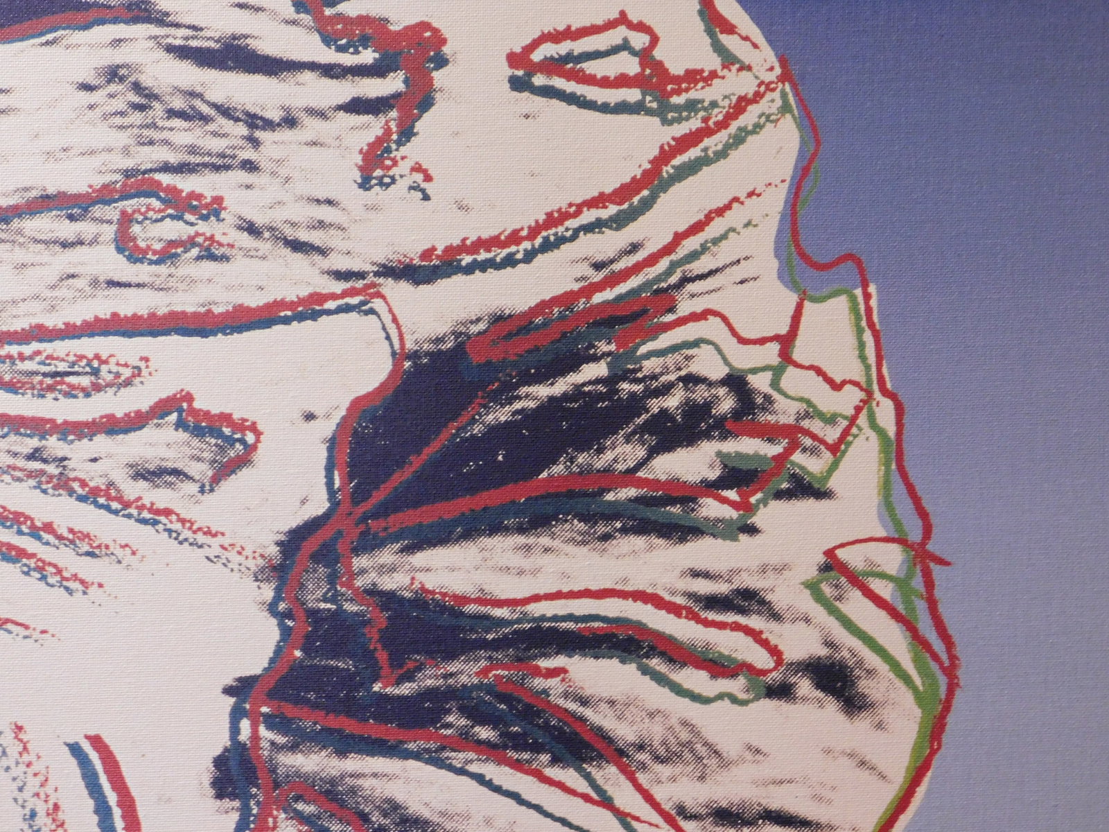 After Andy Warhol: Bald Eagle - 10