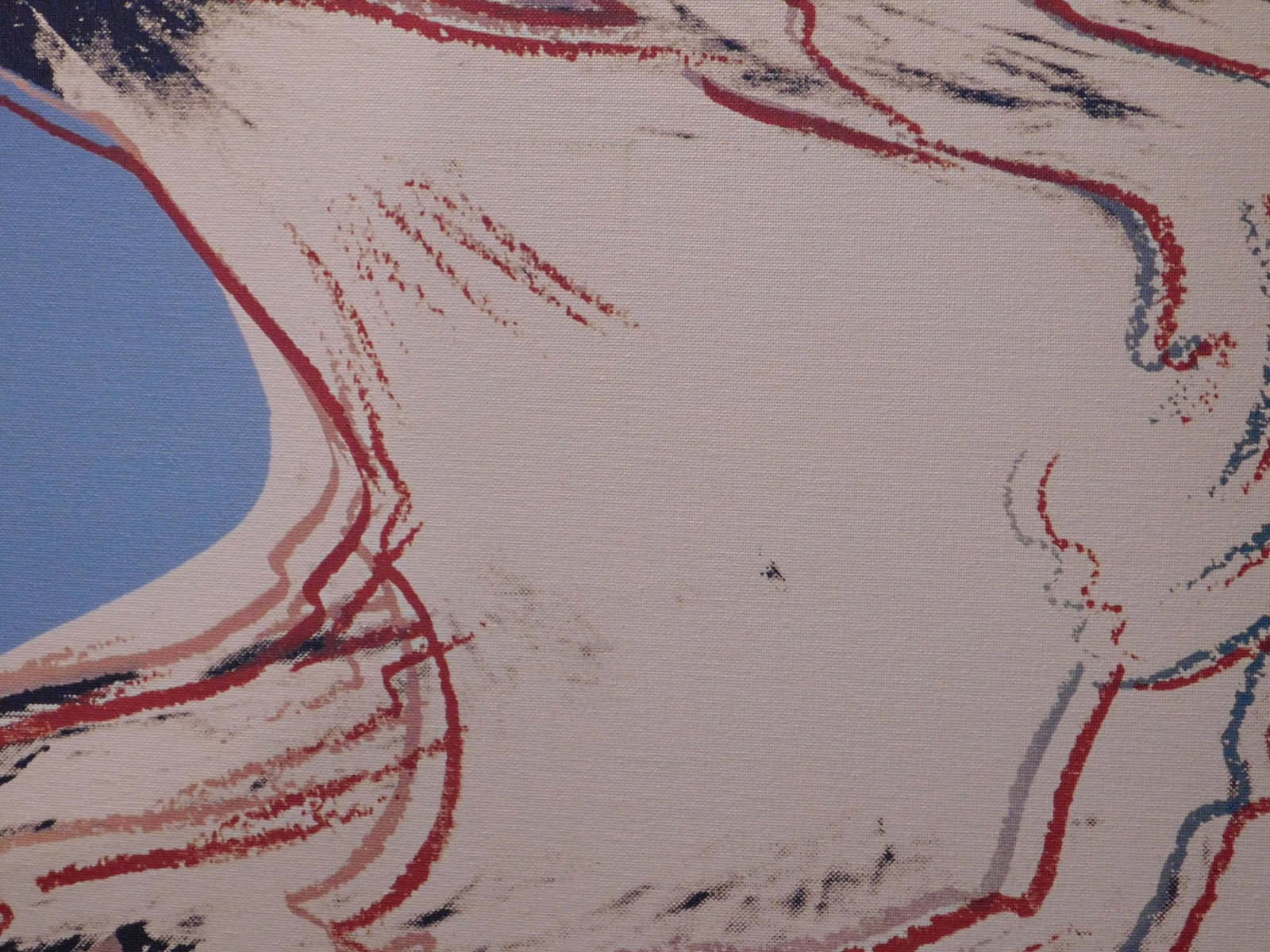After Andy Warhol: Bald Eagle - 11