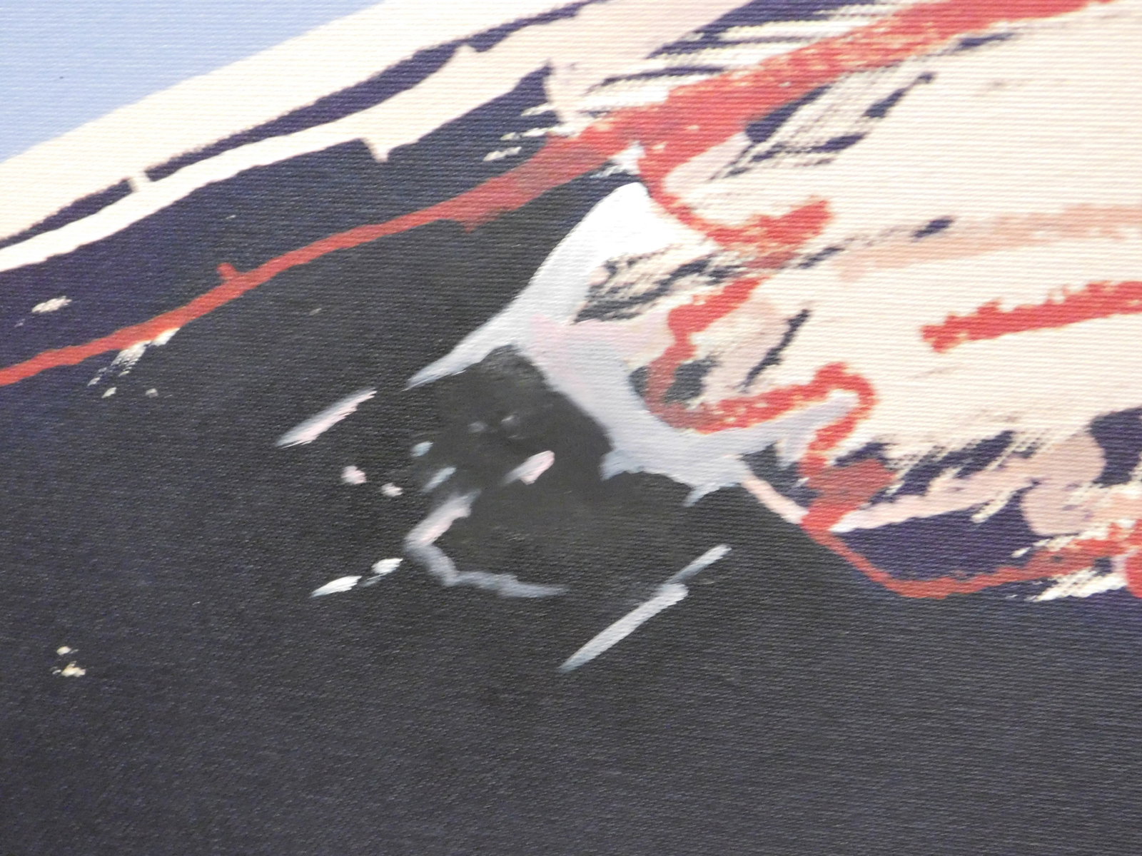 After Andy Warhol: Bald Eagle - 14