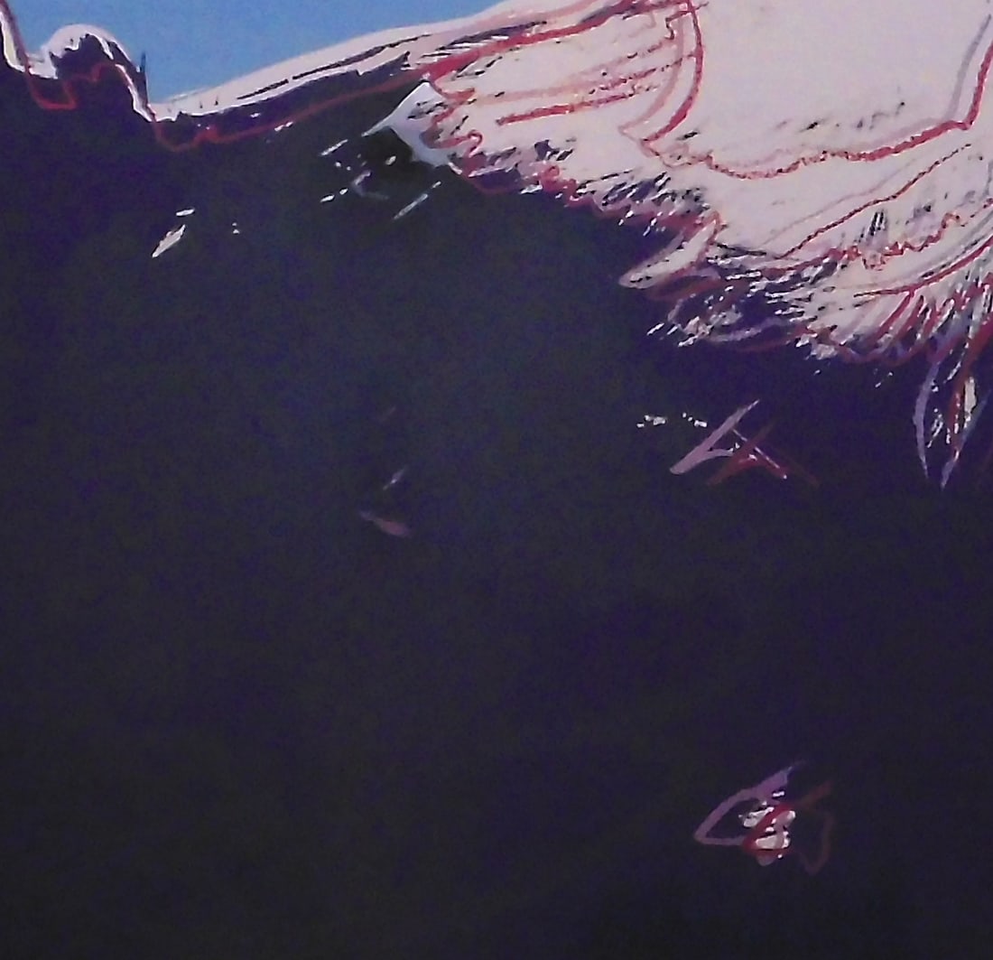 After Andy Warhol: Bald Eagle - 4