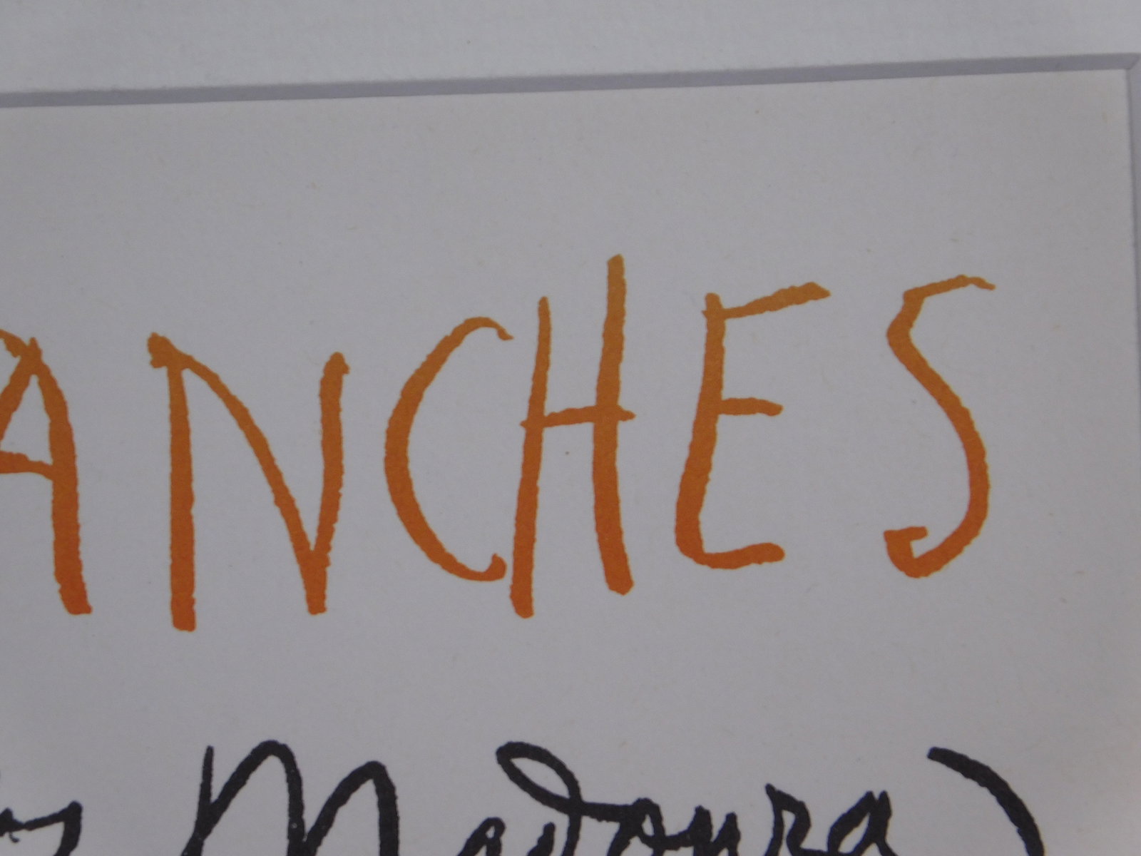 After Pablo Picasso: Pates Blanches - 12