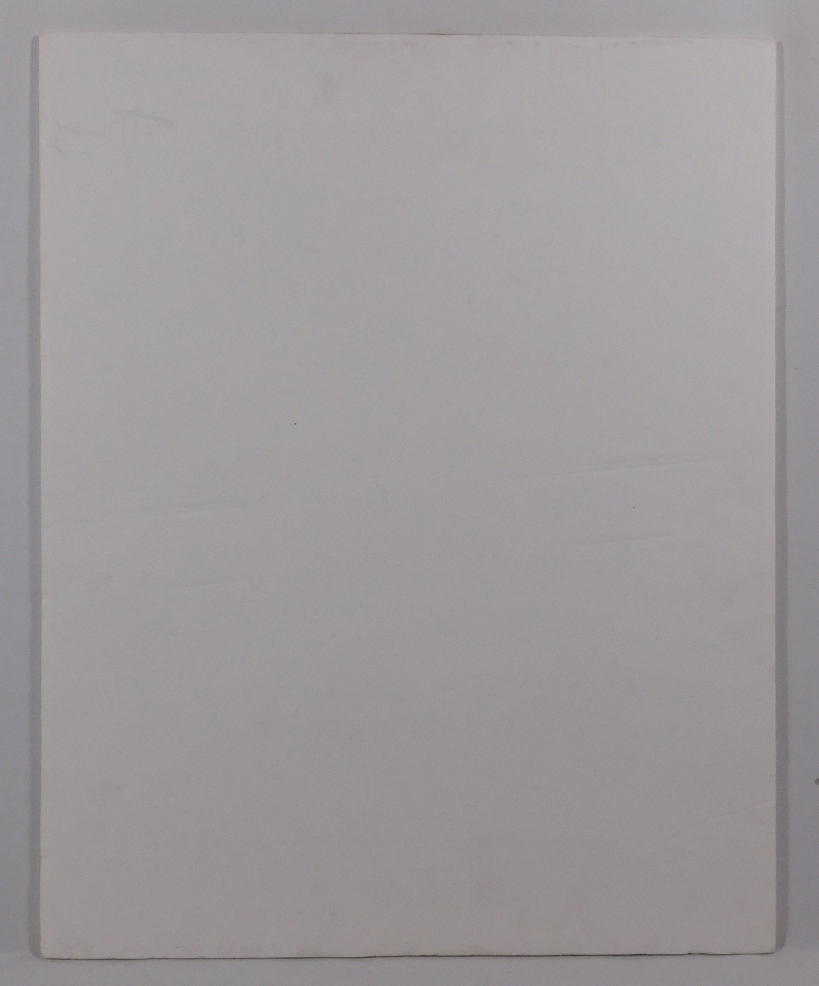 After Pablo Picasso: Pates Blanches - 14