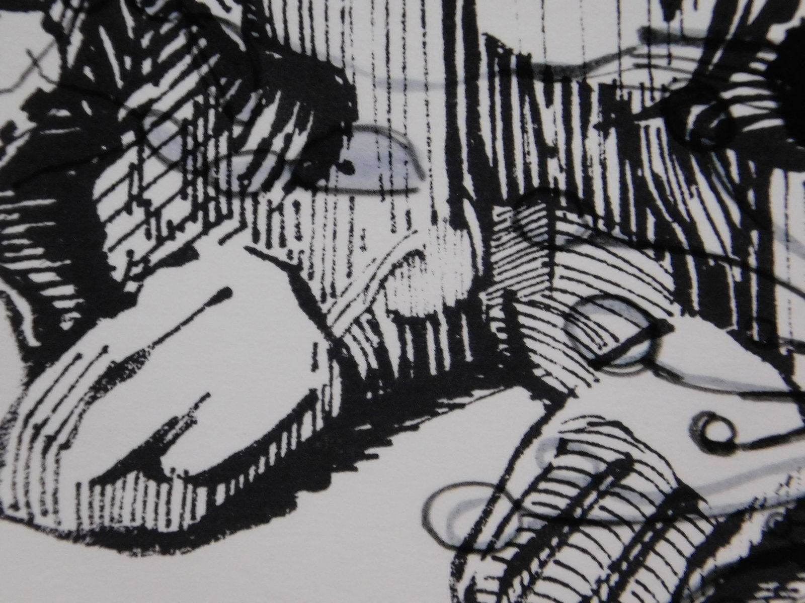 Beck Lane: Rabbit - 6