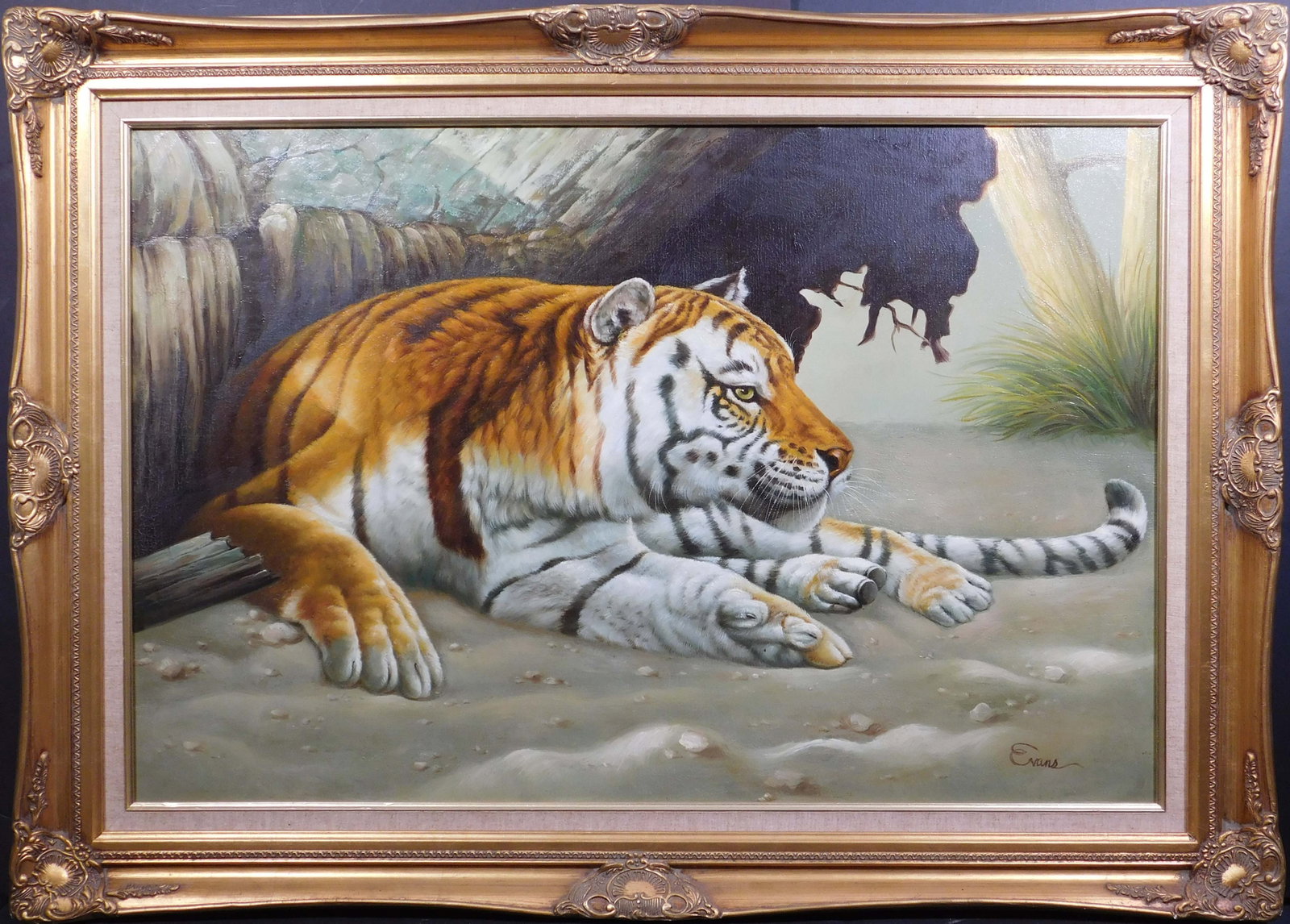 Evans: Tiger Resting on a Beach: Evans (American, 20th century): Tiger Resting on a Beach. Oil on canvas, signed loer right, framed. 31.25 x 43 framed; 24 x 36 inches framed. North Carolina Estate, USA., John MacWhinnie, New York.