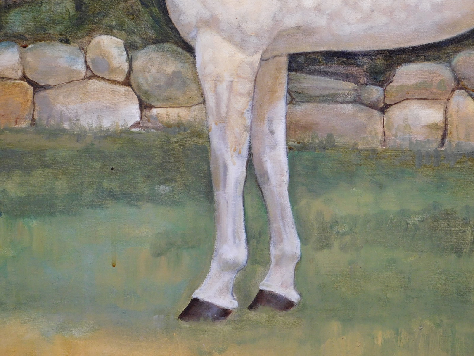 John H : Appaloosa - 4