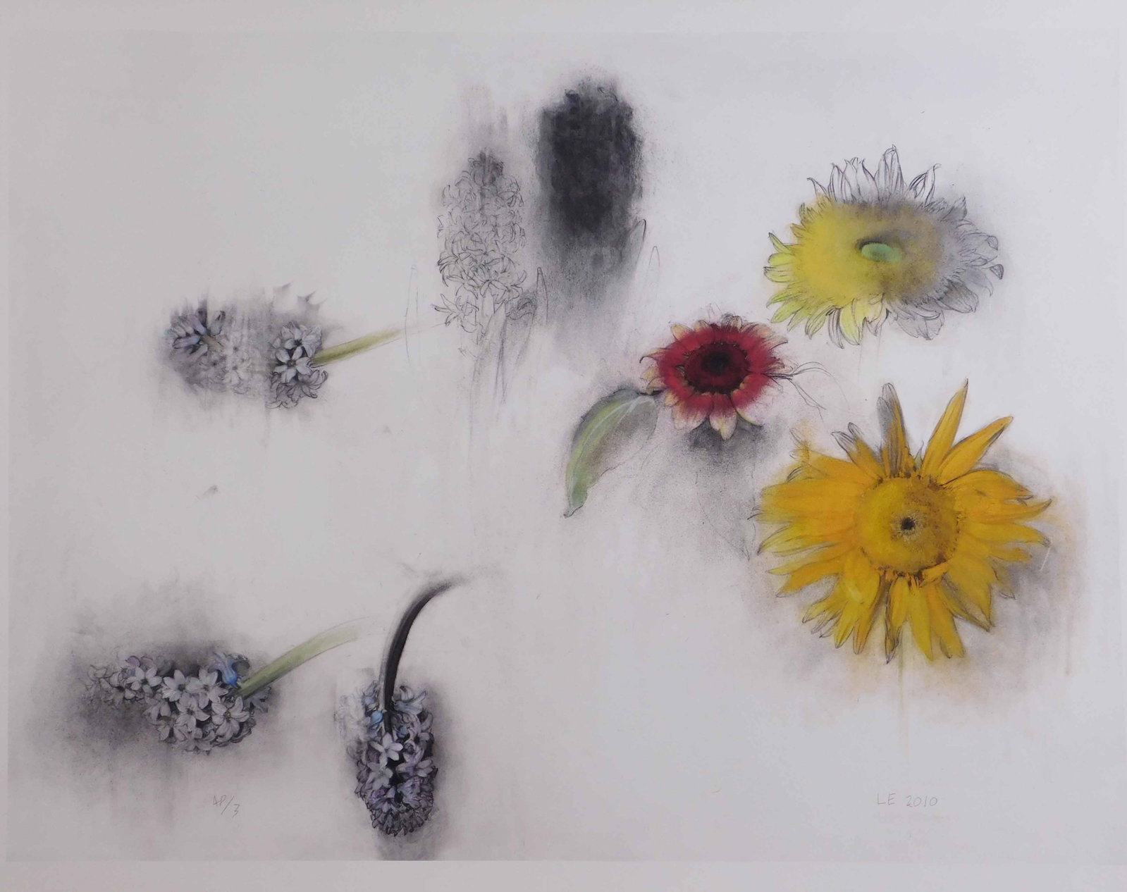 Linda Etcoff : Sunflowers and Hyacinths: Linda Etcoff (American, b. 1952): Sunflowers and Hyacinths, Limited Ed. AP/3, Digital Print. Signed and numbered in pencil below. Paper: 19 ? 24 inches. Private Collection, Boston. Excellent