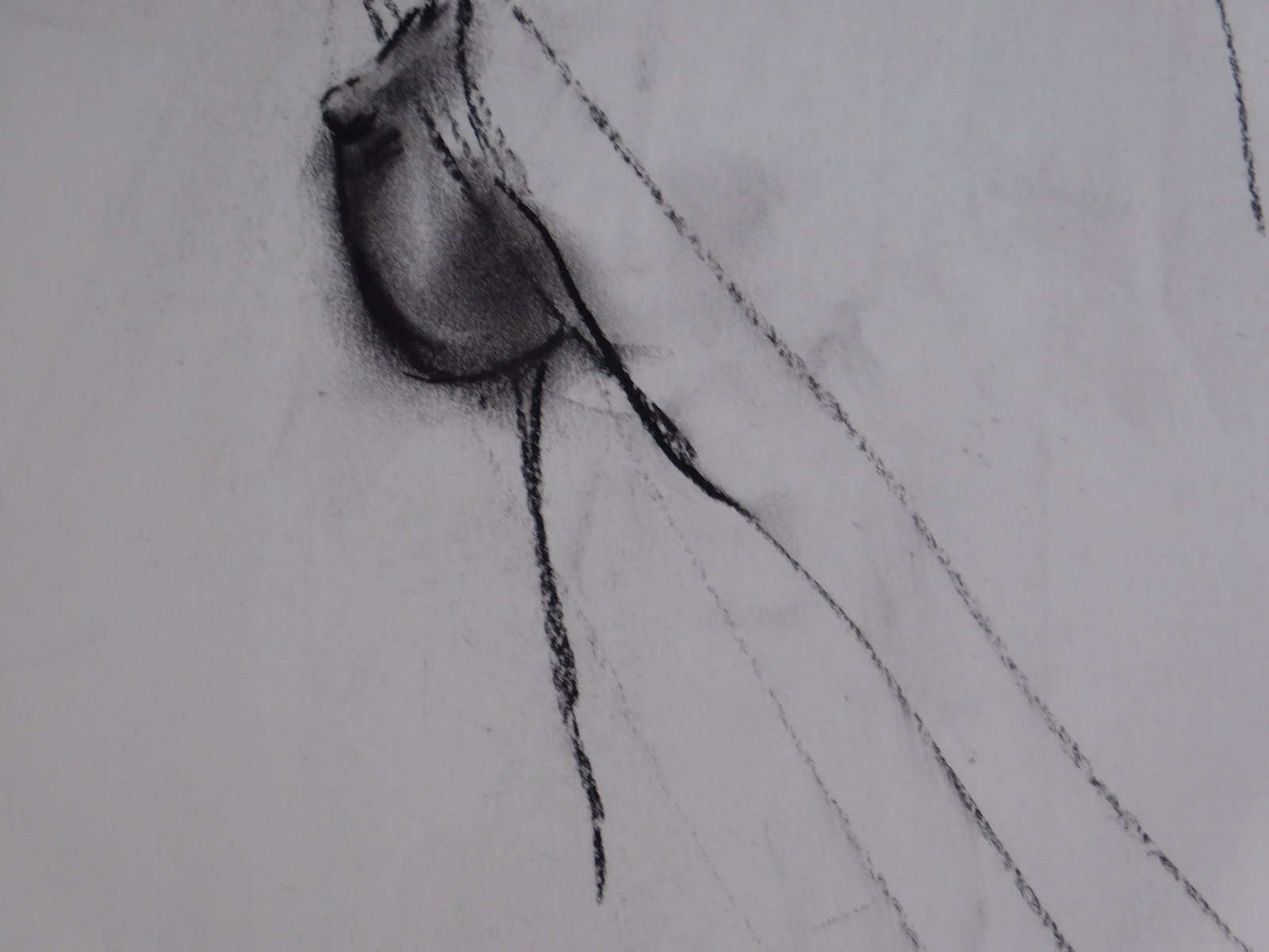 Mary Chatowsky Jameson: Figure Study - 4