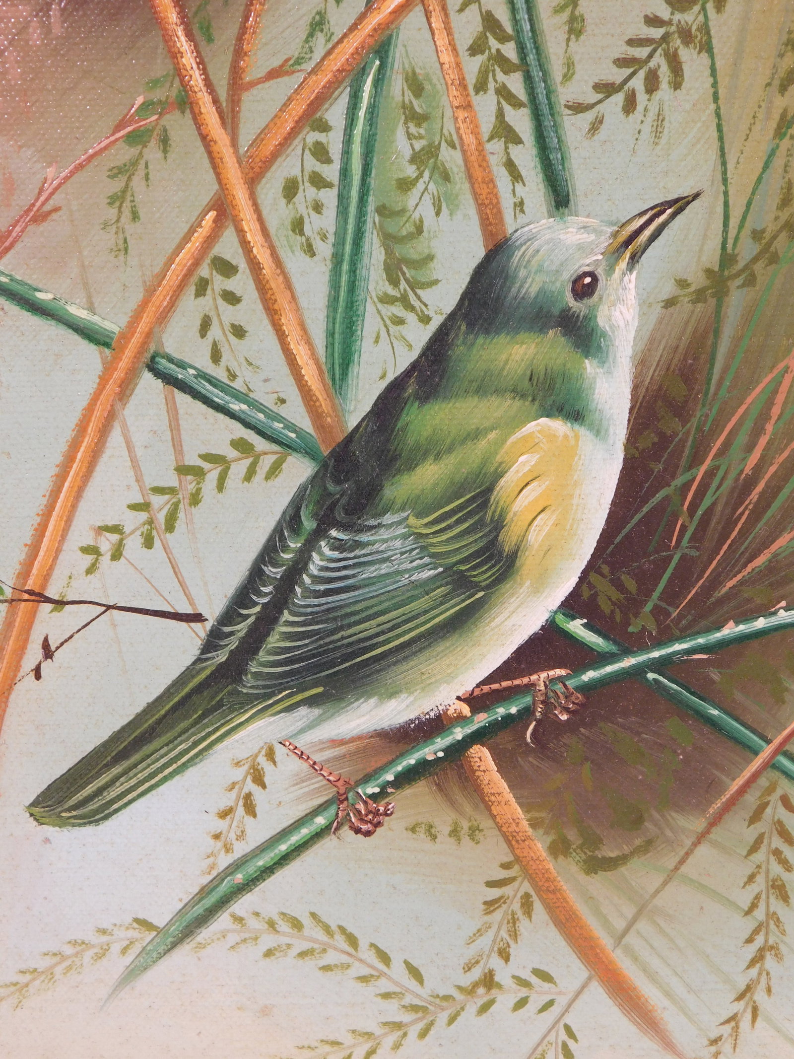 Evans: Spring Wrens - 10