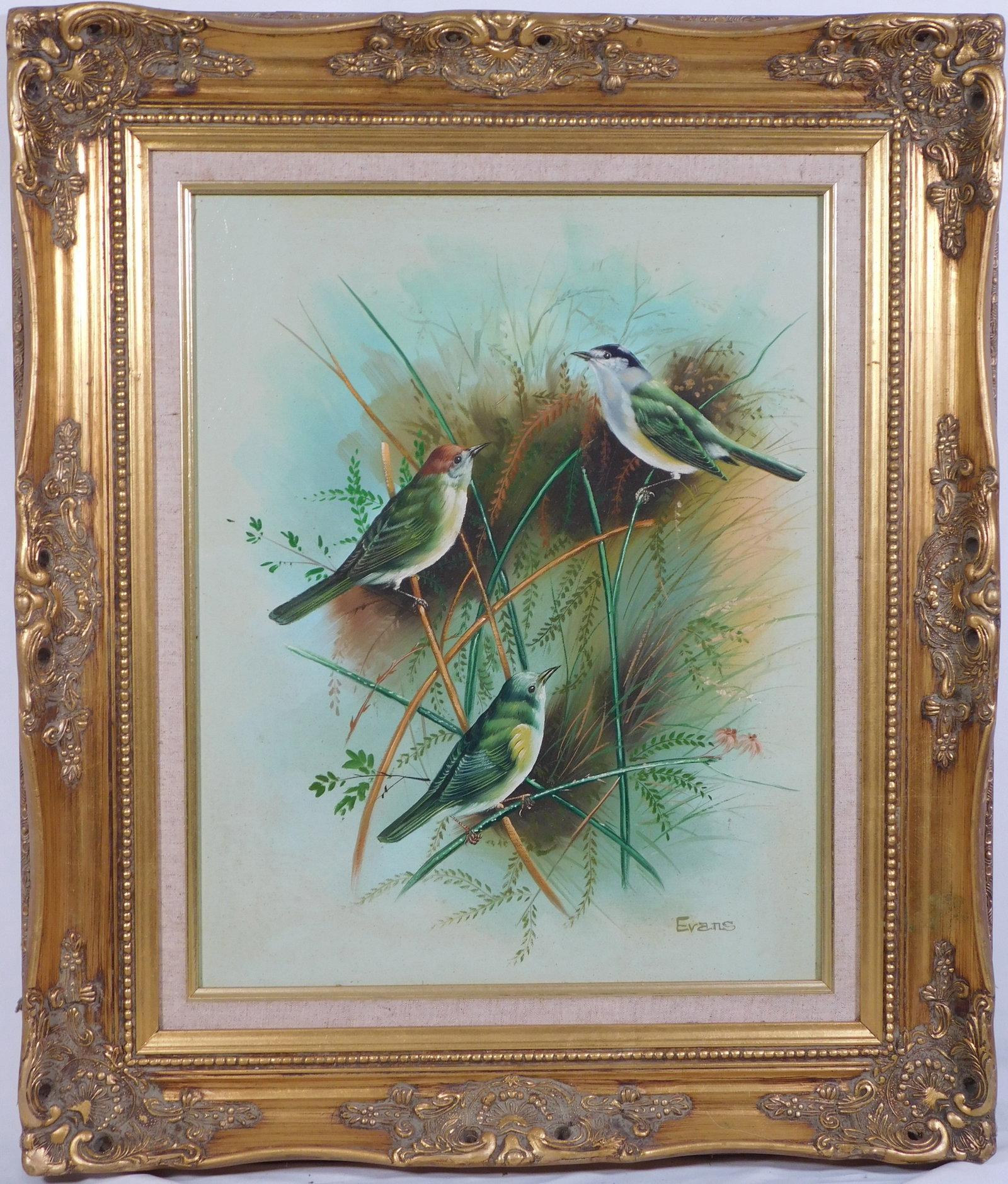 Evans: Spring Wrens: Evans (20th century): Spring Wrens, oil on canvas, signed, framed. 20x16 inch canvas; 28x24 inch frame Private collection, Massachusetts, USA. Good condition with surface grime NOTE: If documentation