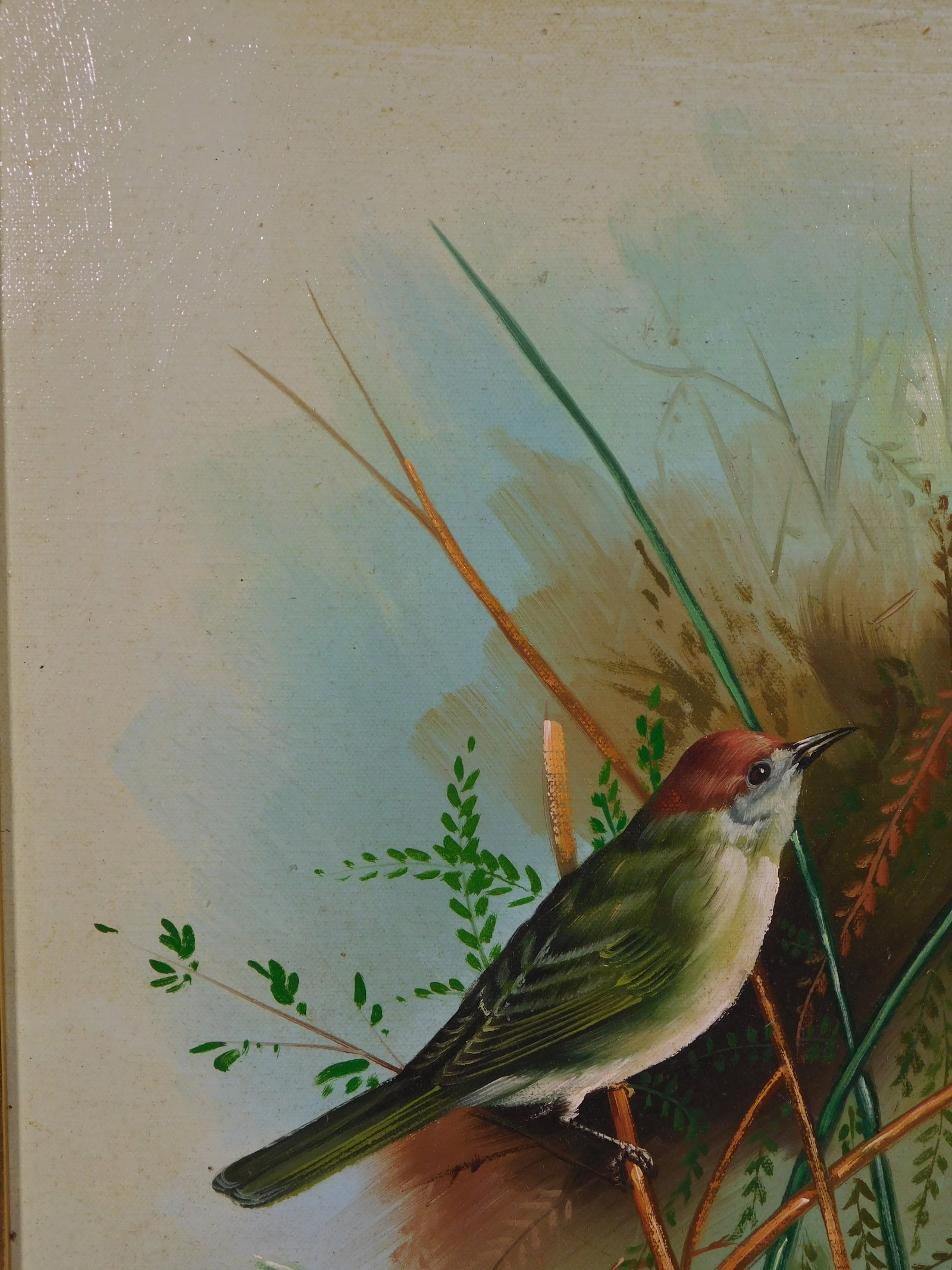 Evans: Spring Wrens - 3