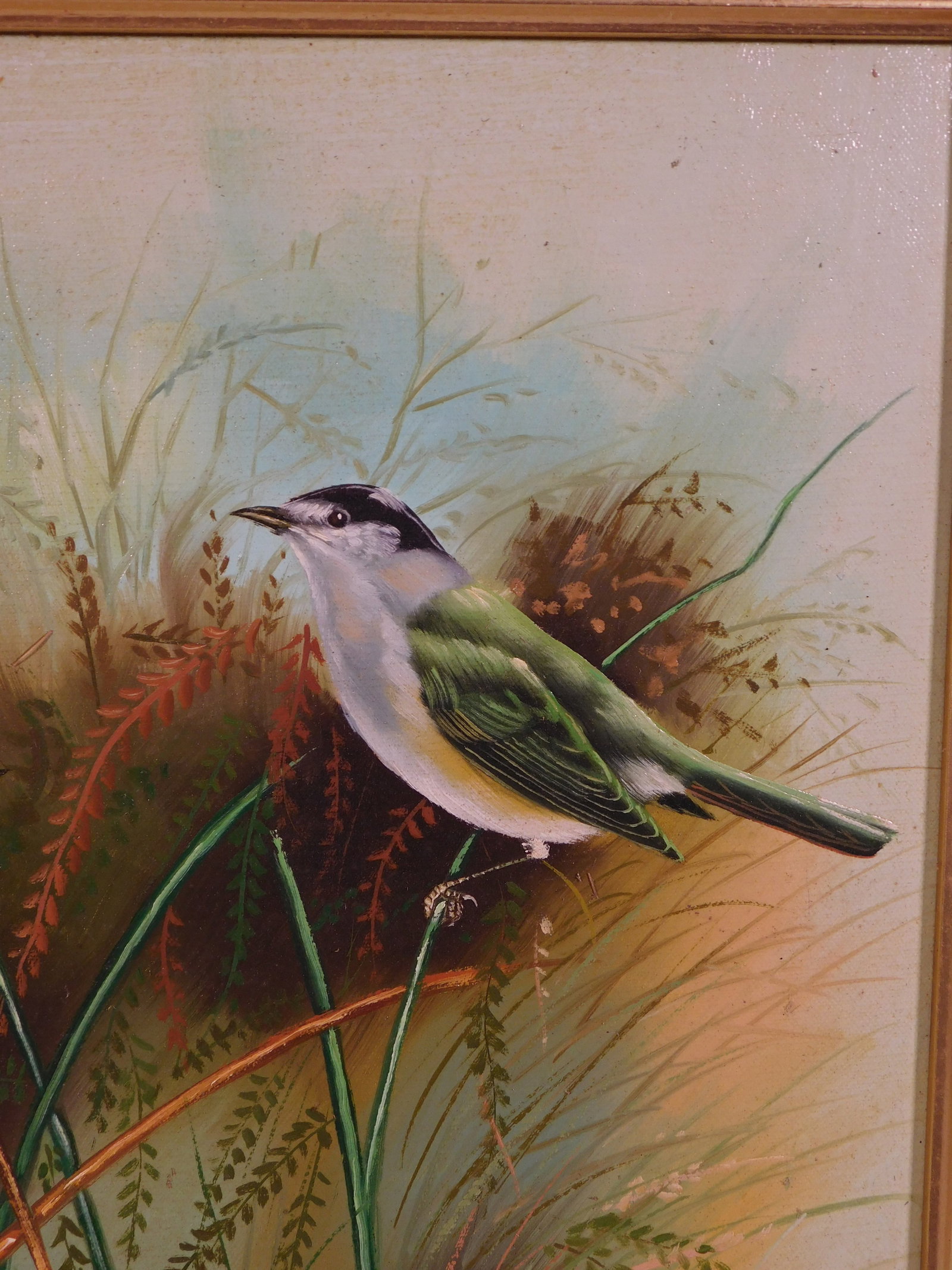 Evans: Spring Wrens - 4