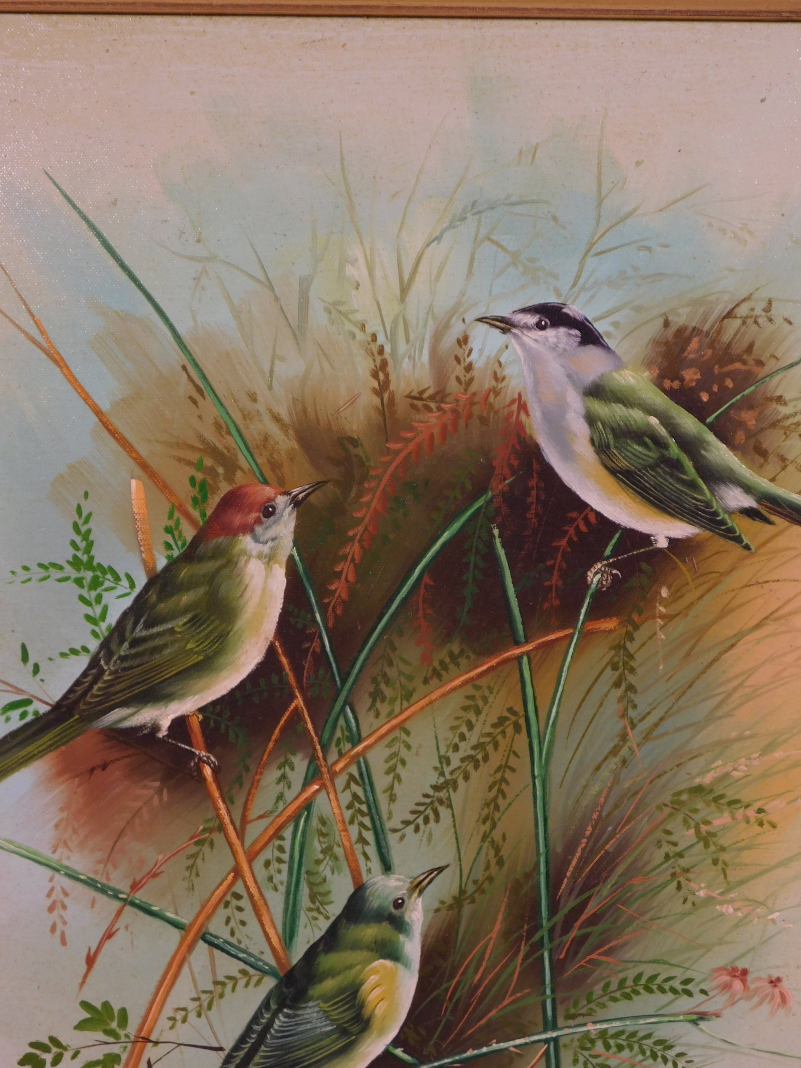 Evans: Spring Wrens - 5