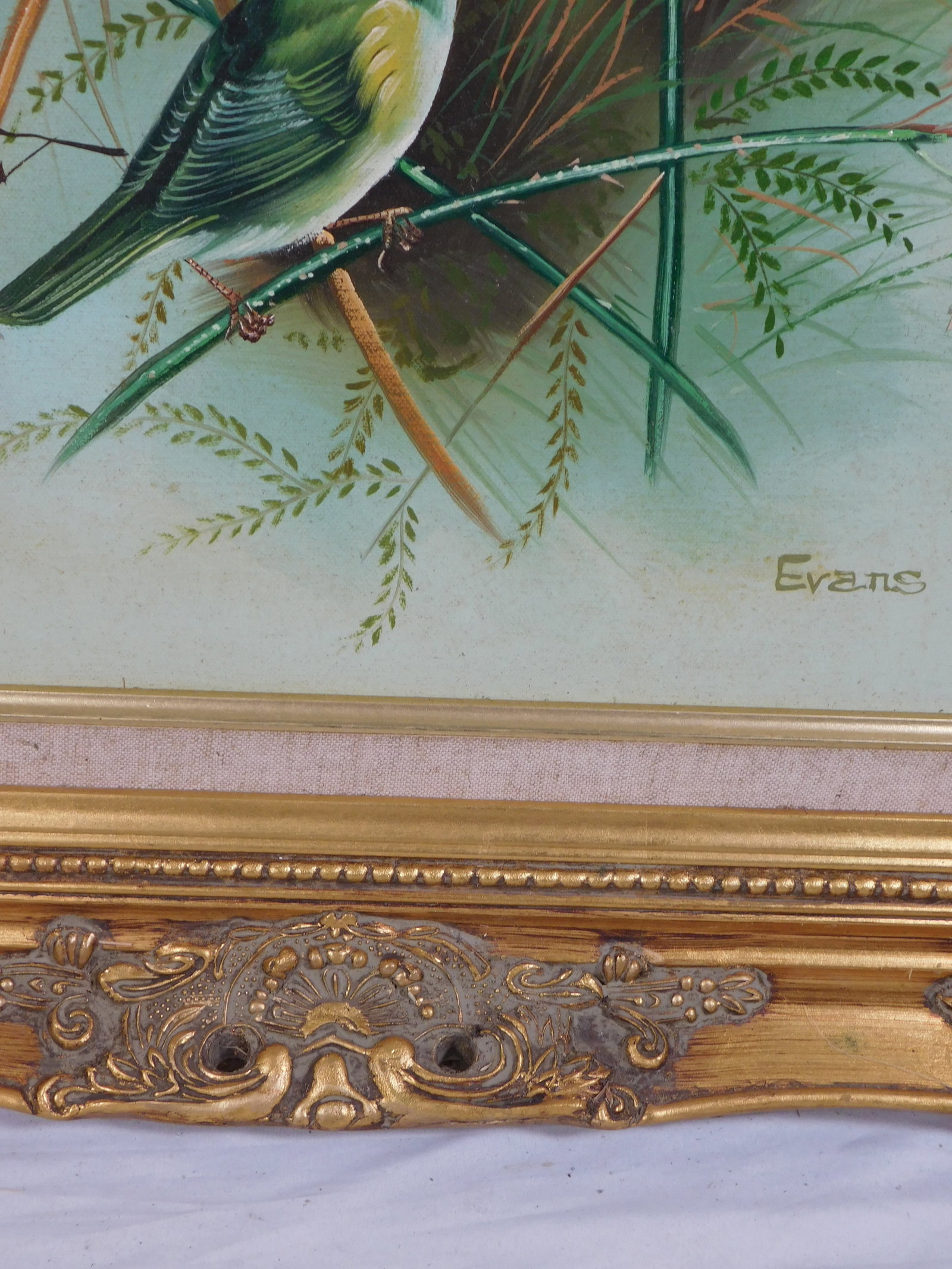 Evans: Spring Wrens - 6