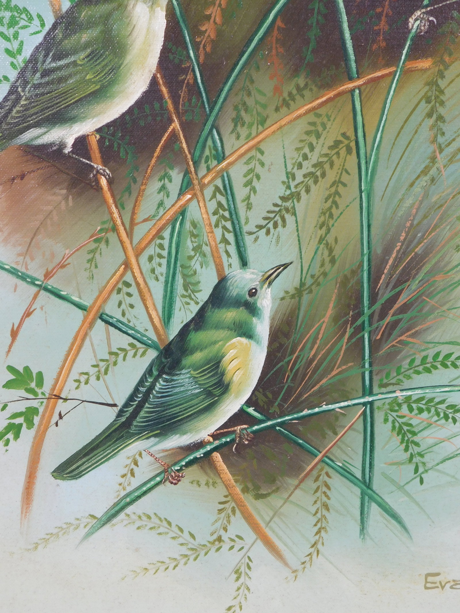 Evans: Spring Wrens - 7