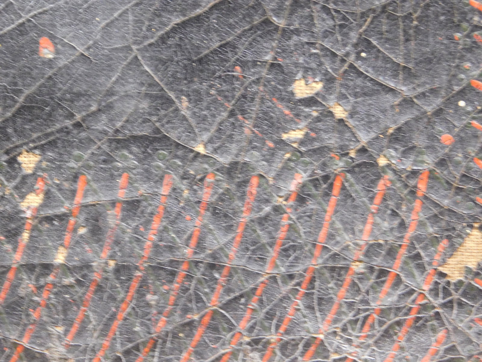 Rooster on Cloth (Black) - 7