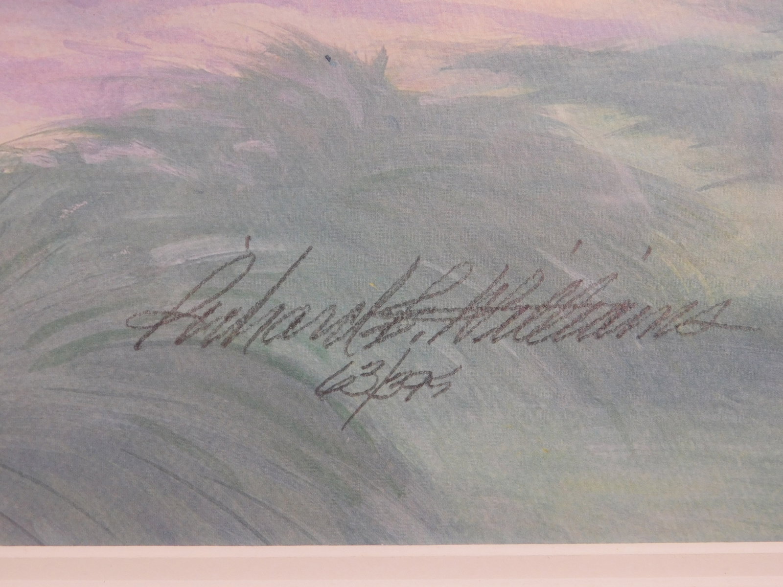 Richard E. Williams: Wisterias - 2