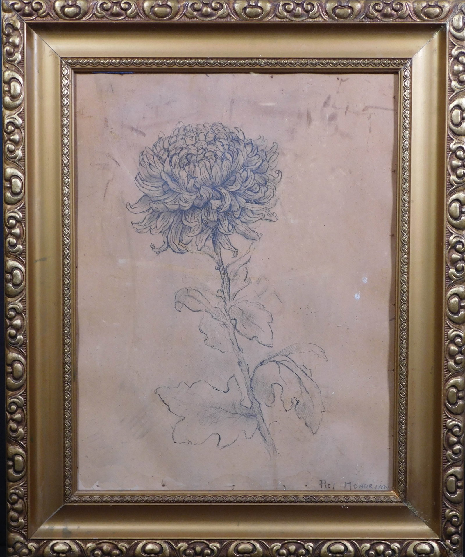 Piet Mondrian Attributed: Chrysanthemum Drawing: Piet Cornelius Mondrian (1872 Amsterdam-1944 New York) Attributed: Chrysanthemum Drawing, signed lower right. Charcoal on thin card stock. Born Pieter Cornelis Mondriaan in the Netherlands, he was an