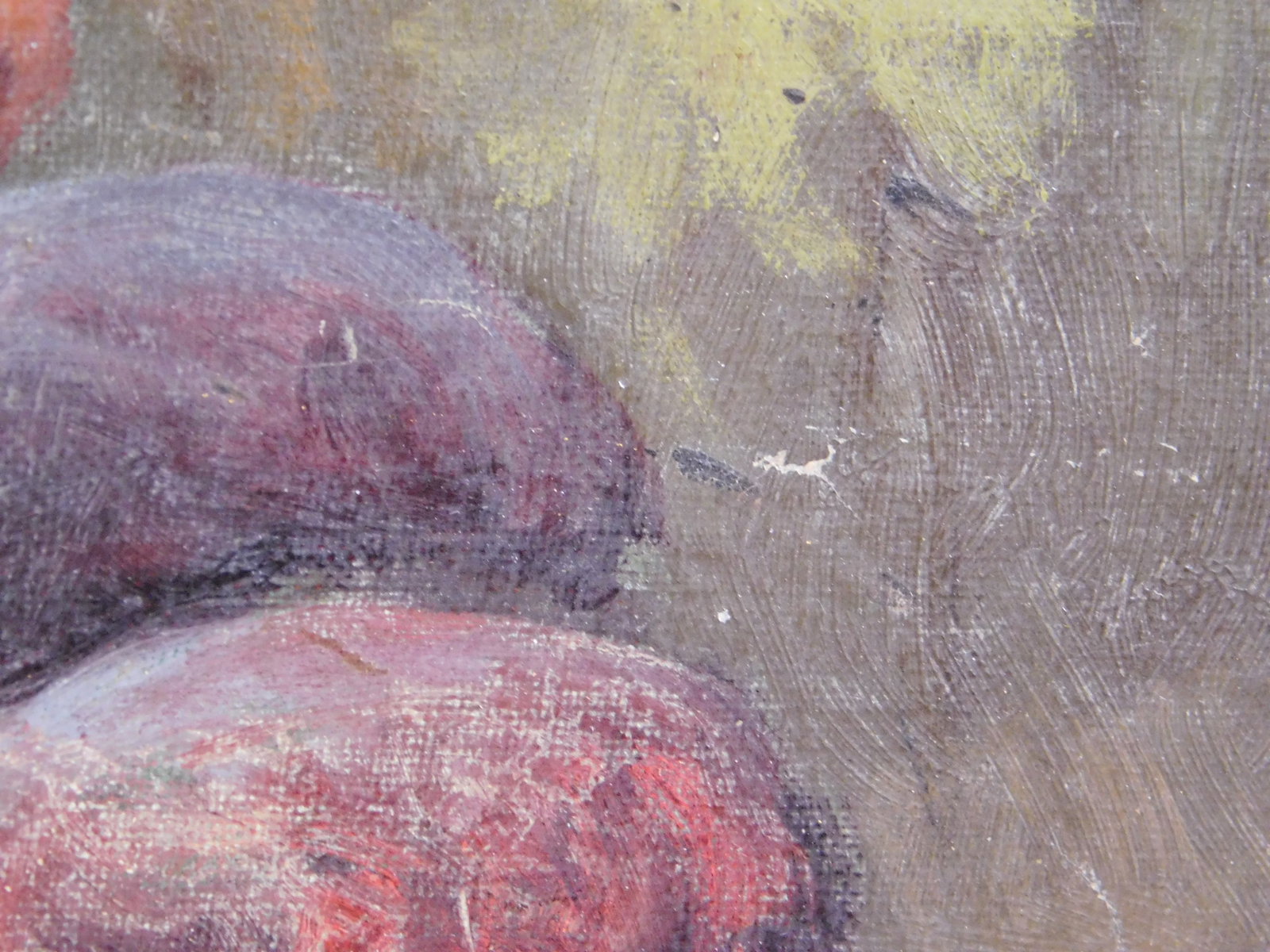 Meyer Straus, Attributed: Still Life with Beetle - 10