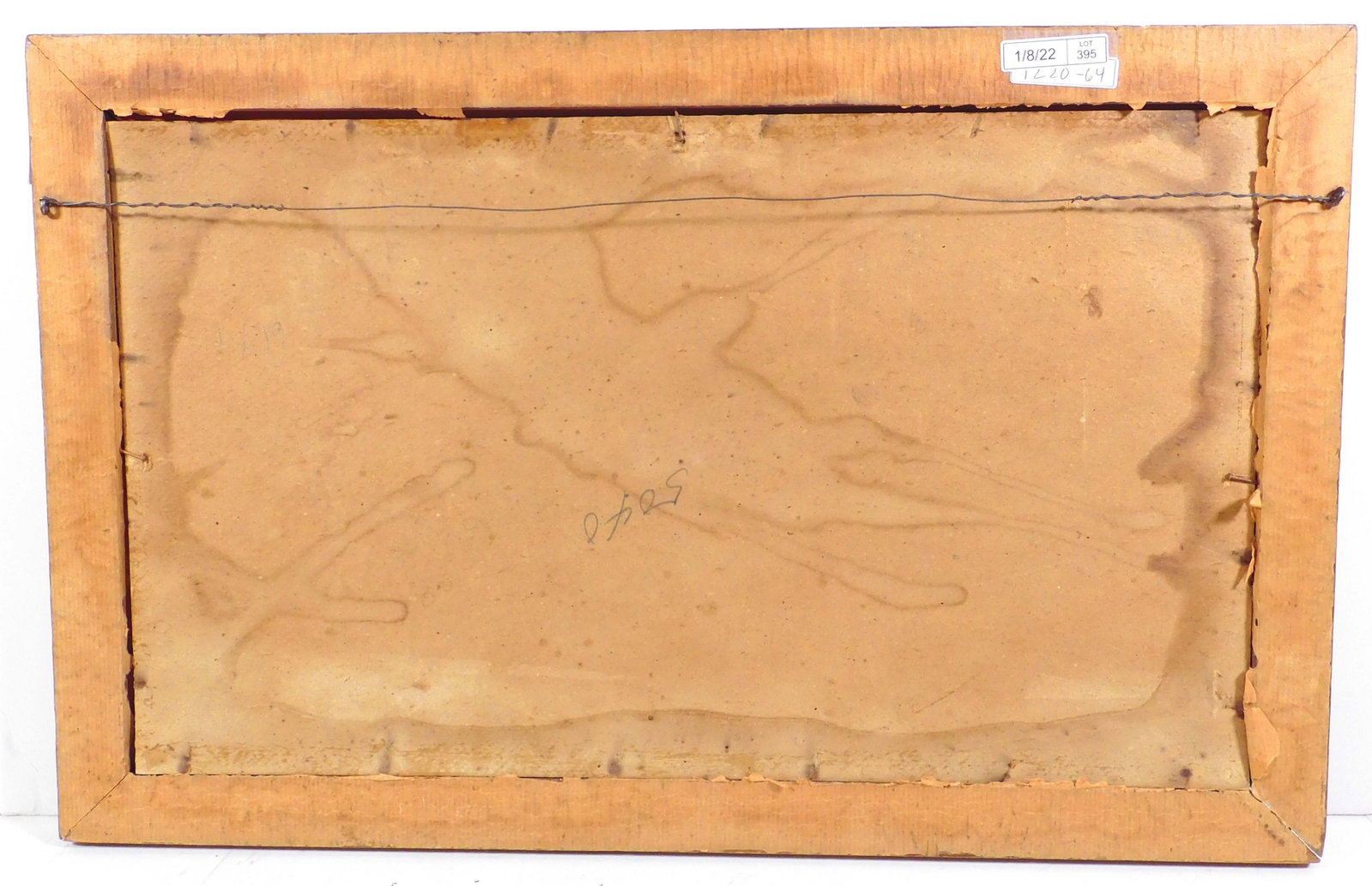 Meyer Straus, Attributed: Still Life with Beetle - 13