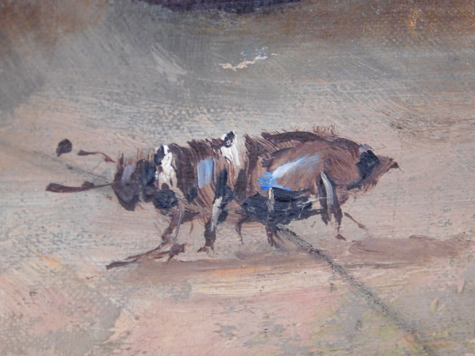 Meyer Straus, Attributed: Still Life with Beetle - 6