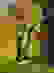 item-61644359=1