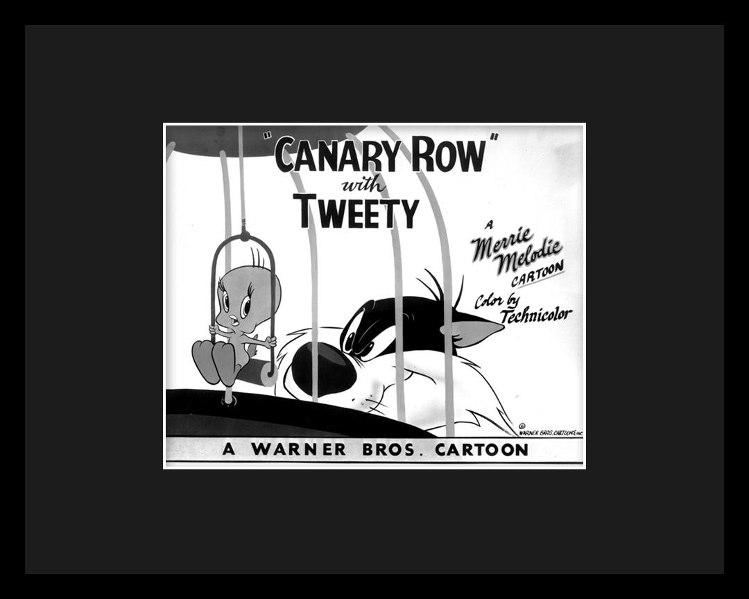 Sylvester and Tweety - Canary Row - Original Lobby Card: An original Warner Bros. Looney Tune Lobby Card entitled "Canary Row." Canary Row is a Merrie Melodies technicolor cartoon released in 1950, and was directed by Friz Freleng. â€œCanary Row” 