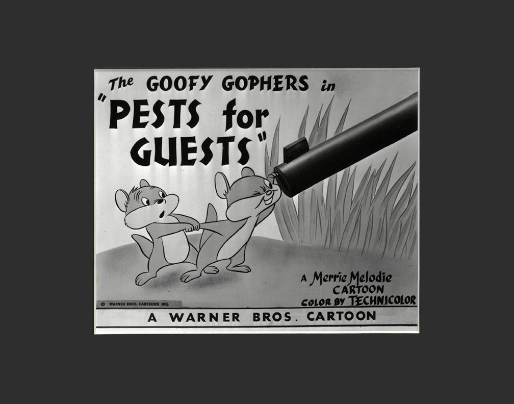 Elmer Fudd - Pests for Guests - Lobby Card: A Warner Bros. Looney Tune Lobby Card entitled "Pests for Guests." Pests For Guests is a Merrie Melodies technicolor cartoon created by Friz Freleng in 1955. Pests for Guests stars Elmer Fudd and the