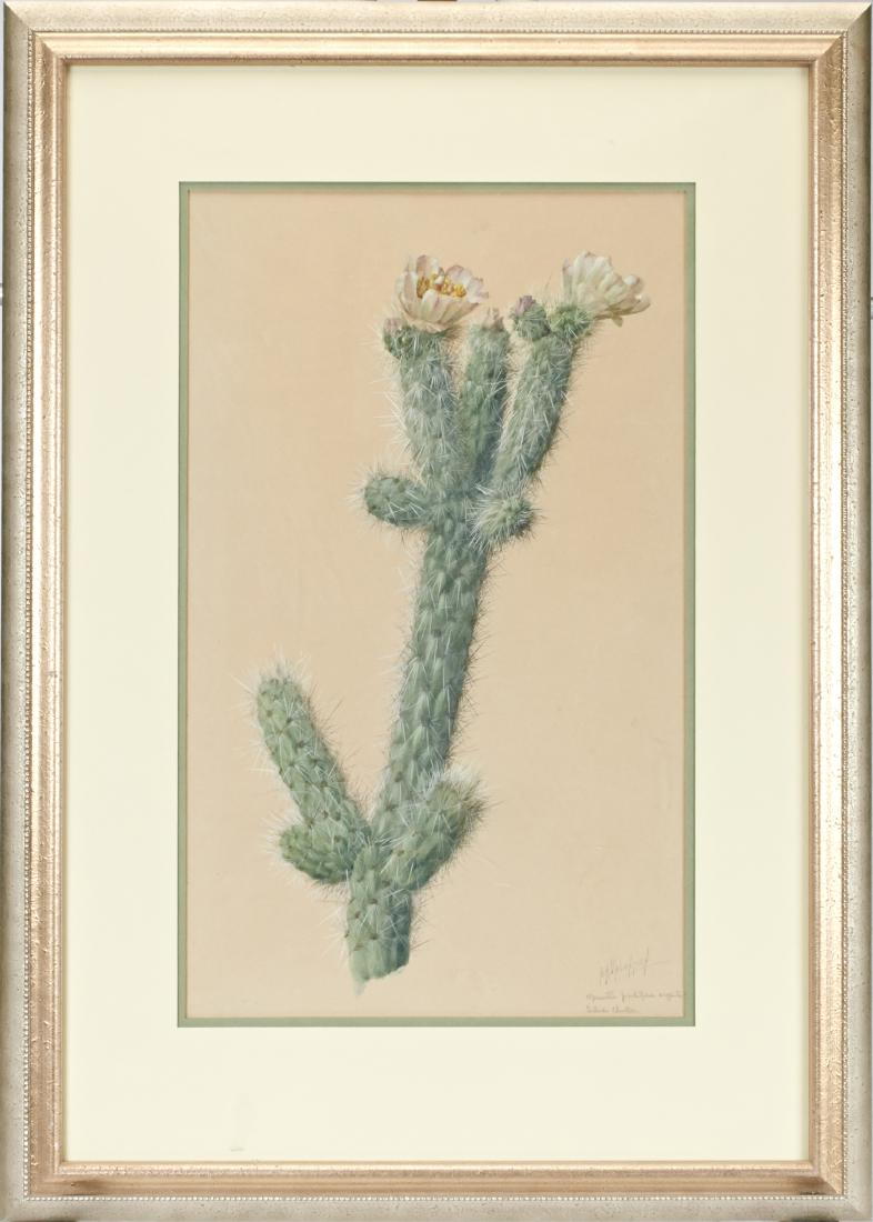 Albert R. Valentien gouache (1 of 4)