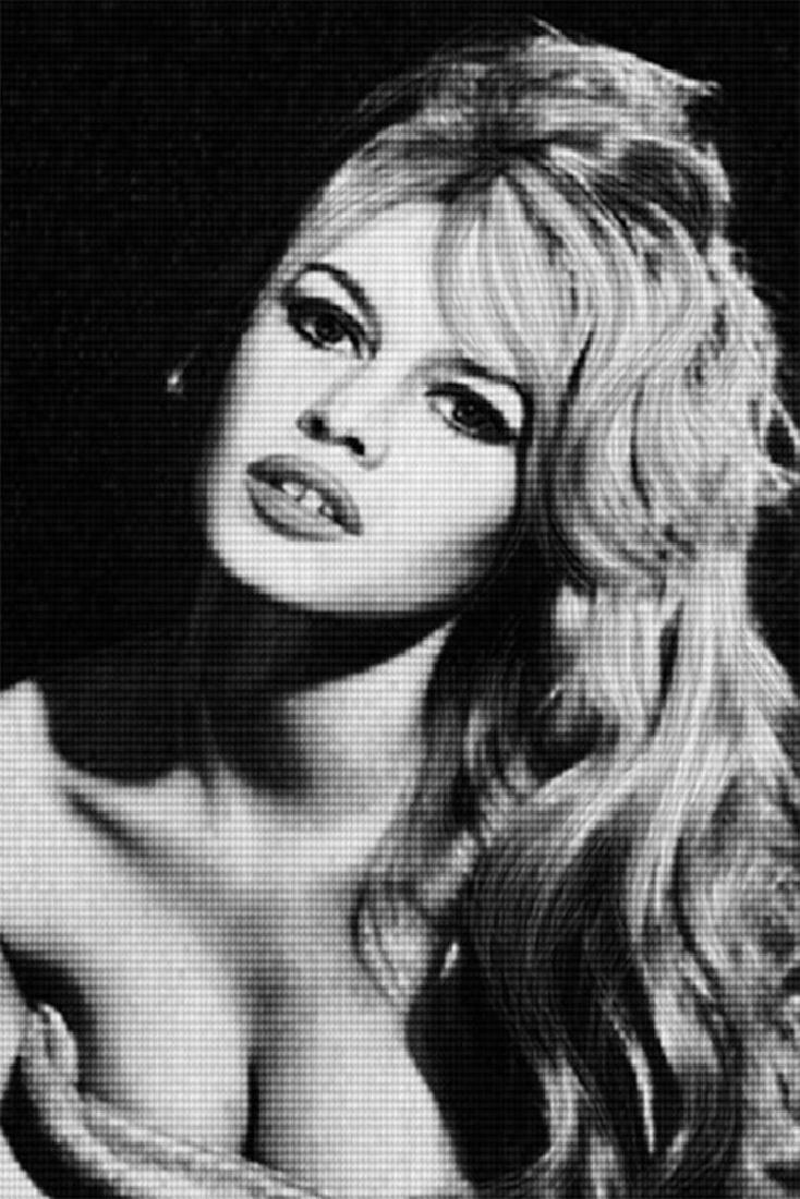 Alex Guofeng Cao, "Bardot vs Birkin",Ink and oil on: Alex Guofeng Cao, "Bardot vs Birkin",Ink and oil on canvas,Edition of 10, 2014, 60 x 40 inches 60 x 40 inches