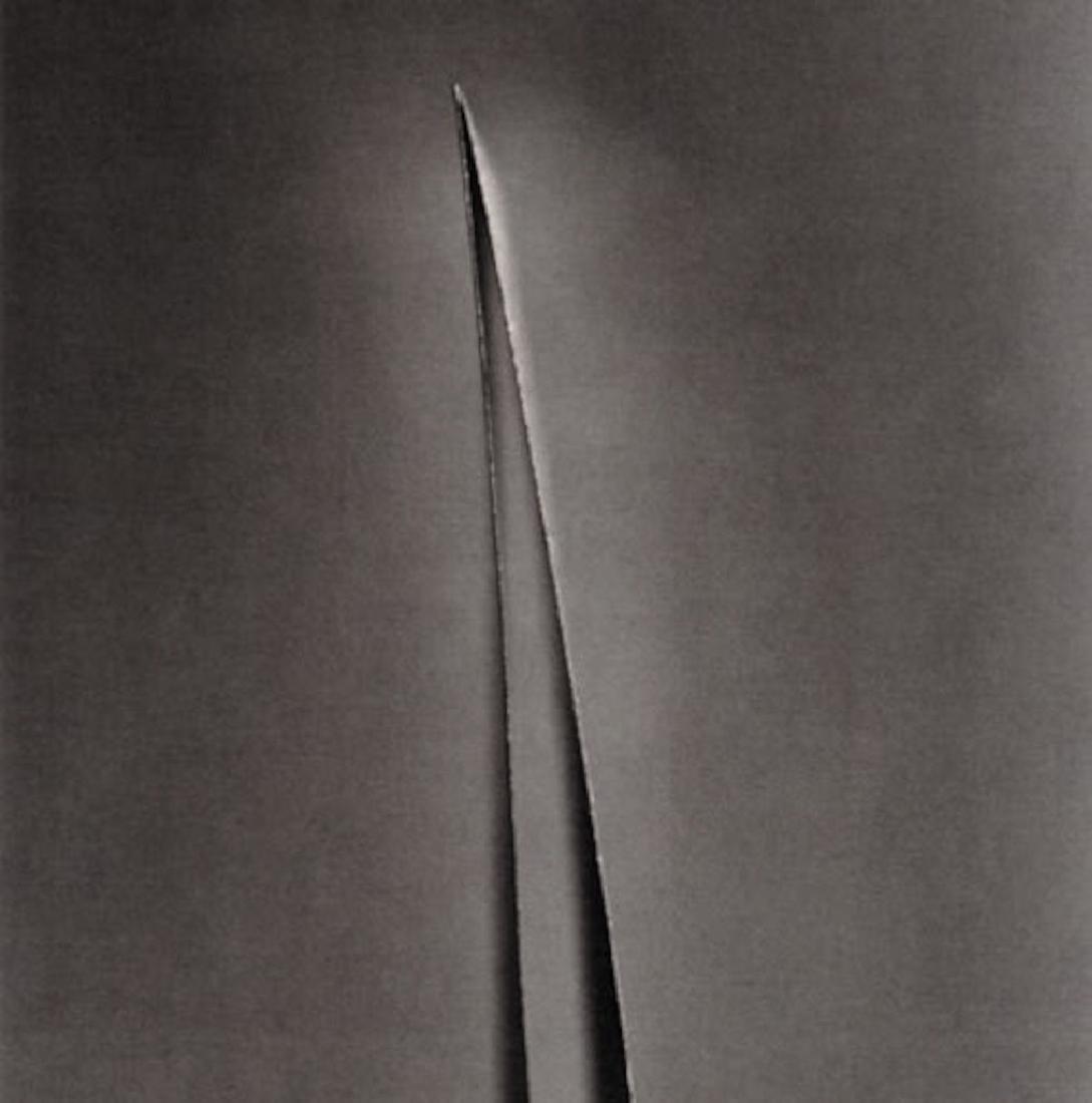 Ion Zupcu, "Close",Print,Edition 3/15: Ion Zupcu, "Close",Print,Edition 3/15, 15 x 15 inches