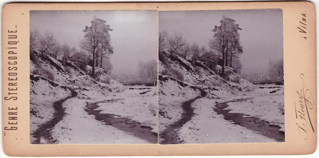 Stanislaw Filibert Fleury Lithuania Lithuanian (1 of 2)